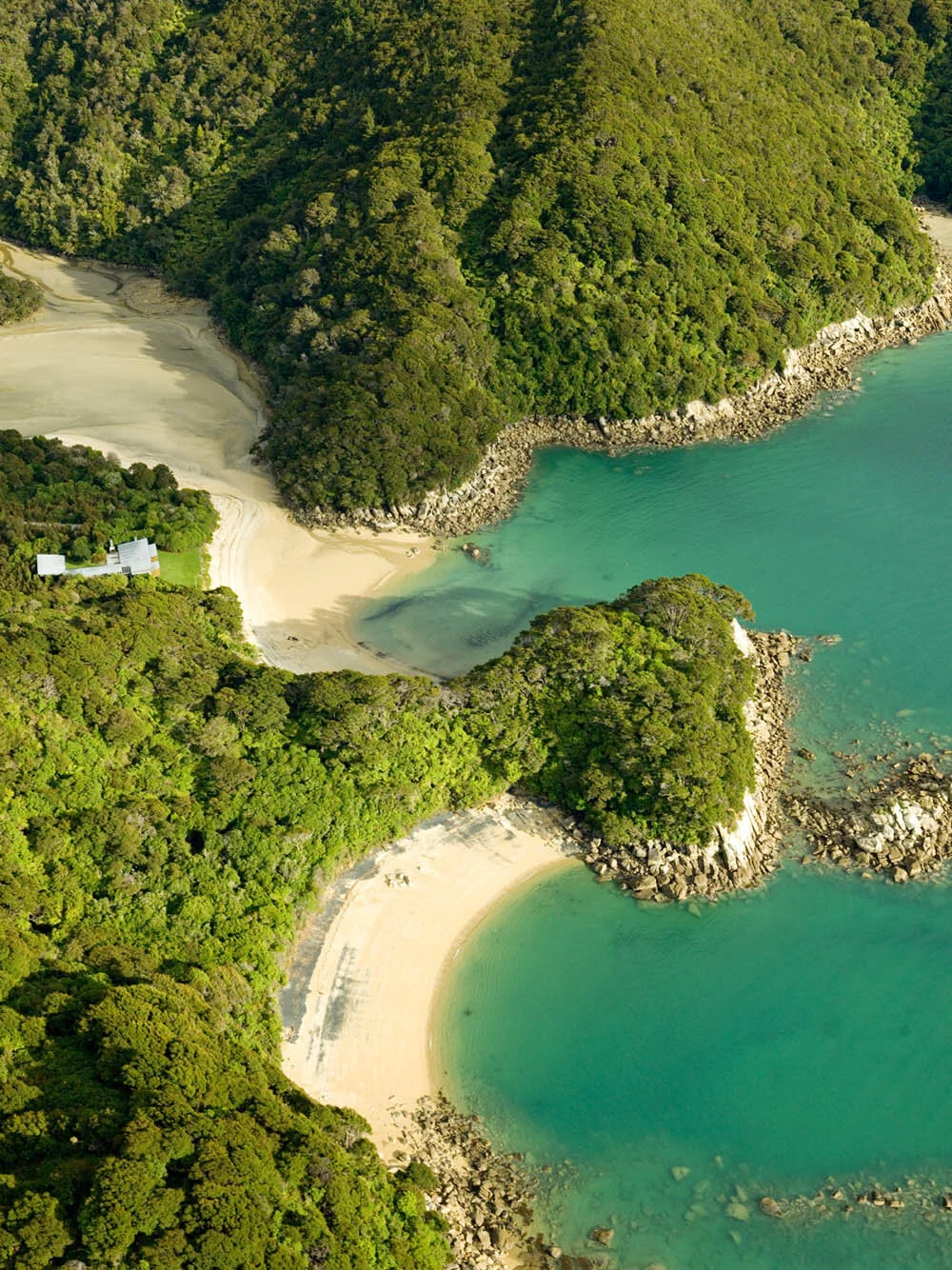 Dans able tasman.jpg