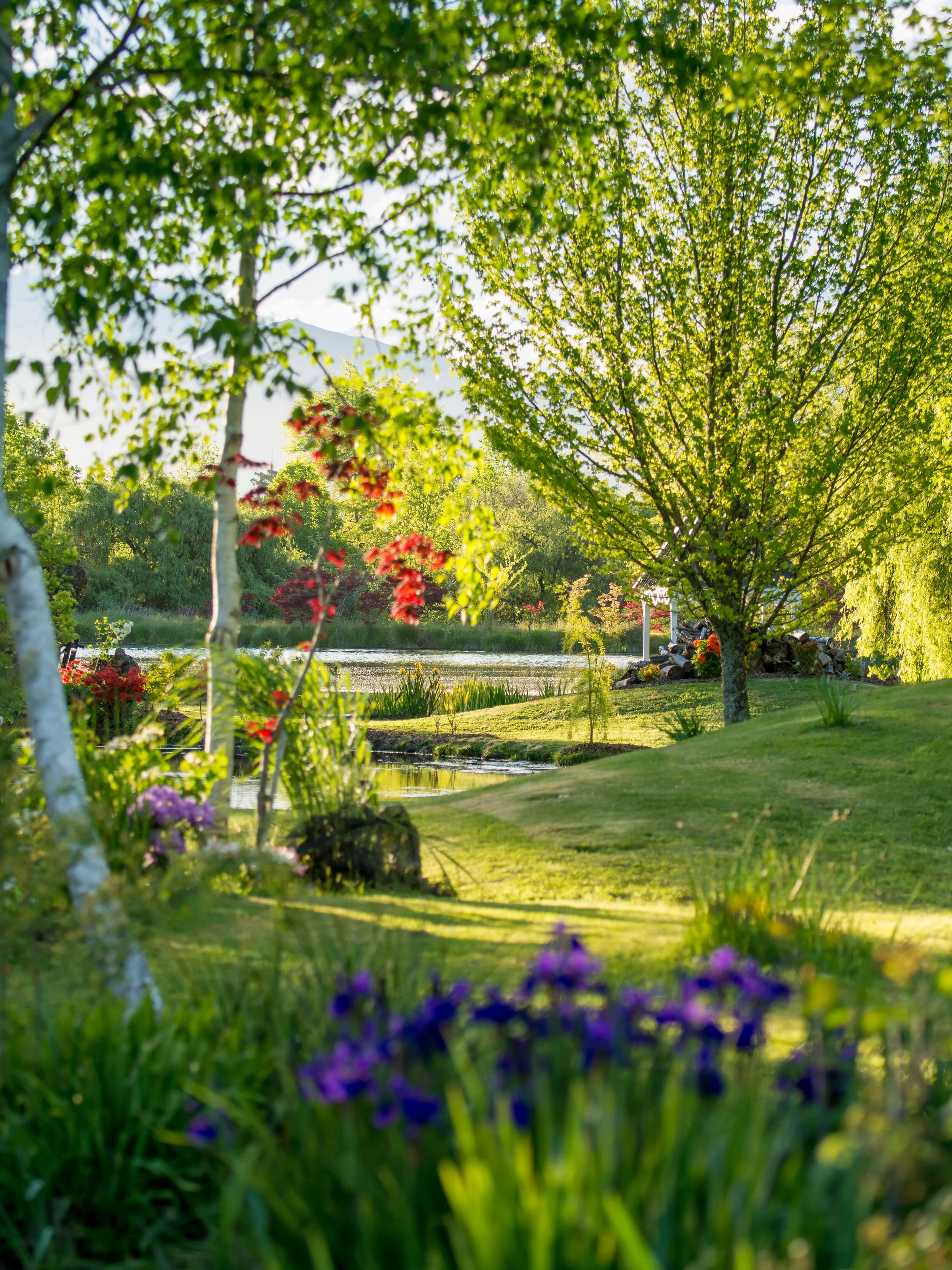 A Michael Edwardes  173.jpg