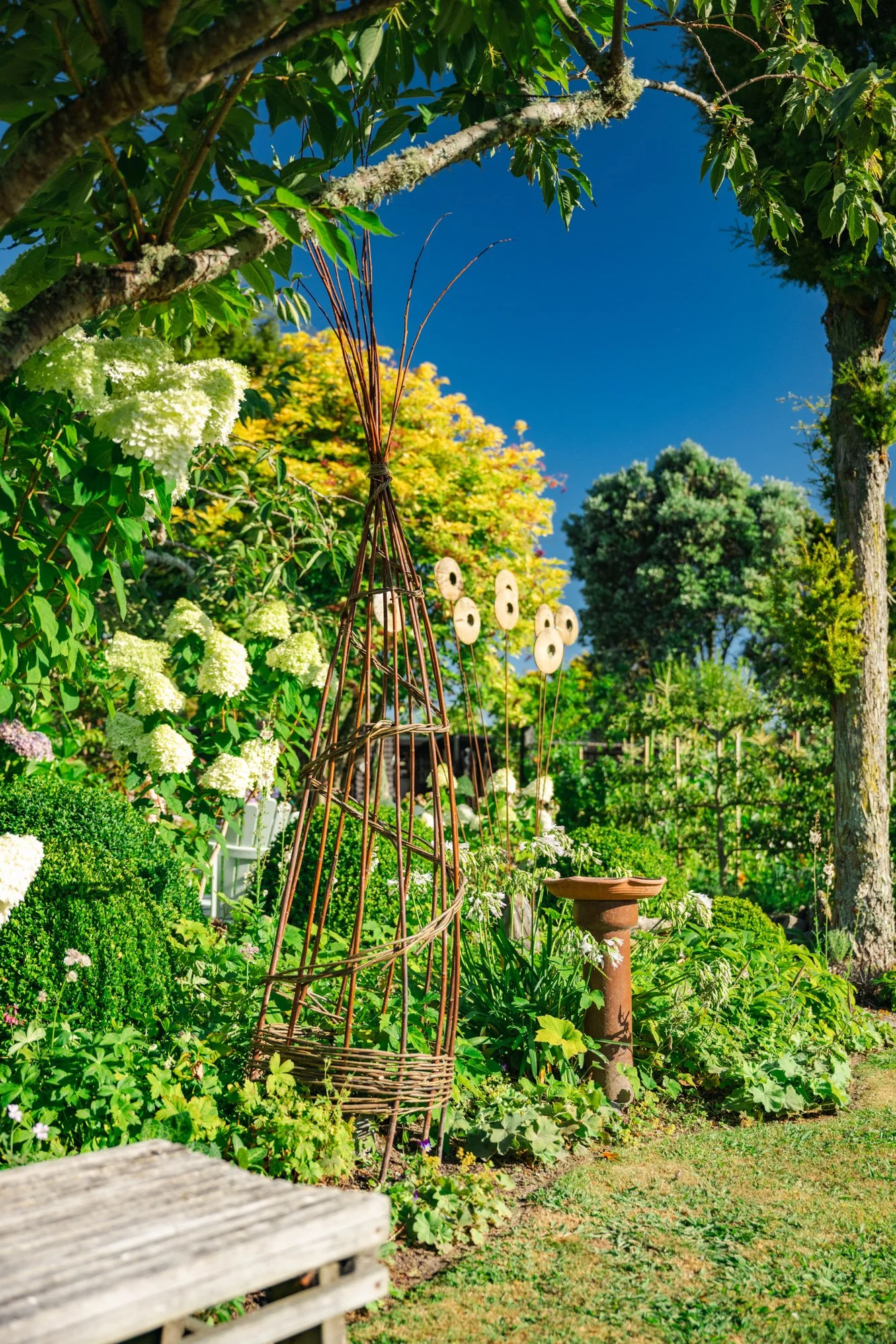 A vibrant garden with lush green plants, white flowers, bird sculptures, a wooden trellis, and a garden pedestal with a porcelan and a tree with white flowers.