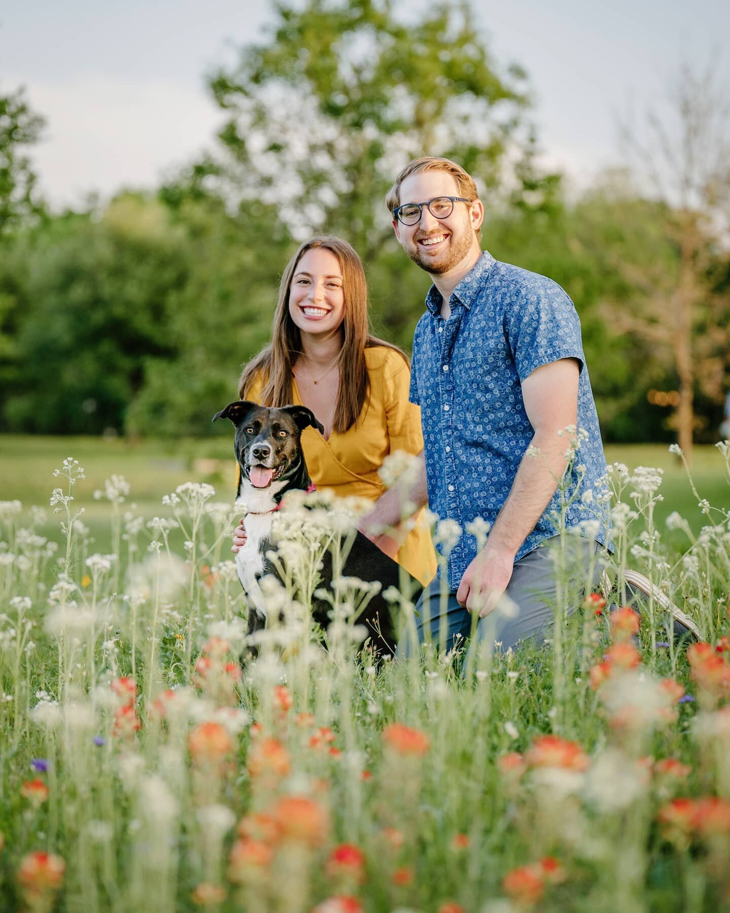 One with wildflowers and the happiest of smiles! ❤️💛🤍

As popular as the Texas Bluebonnets are, there is so much beauty and color in all the different flowers that show up around this time of the year!