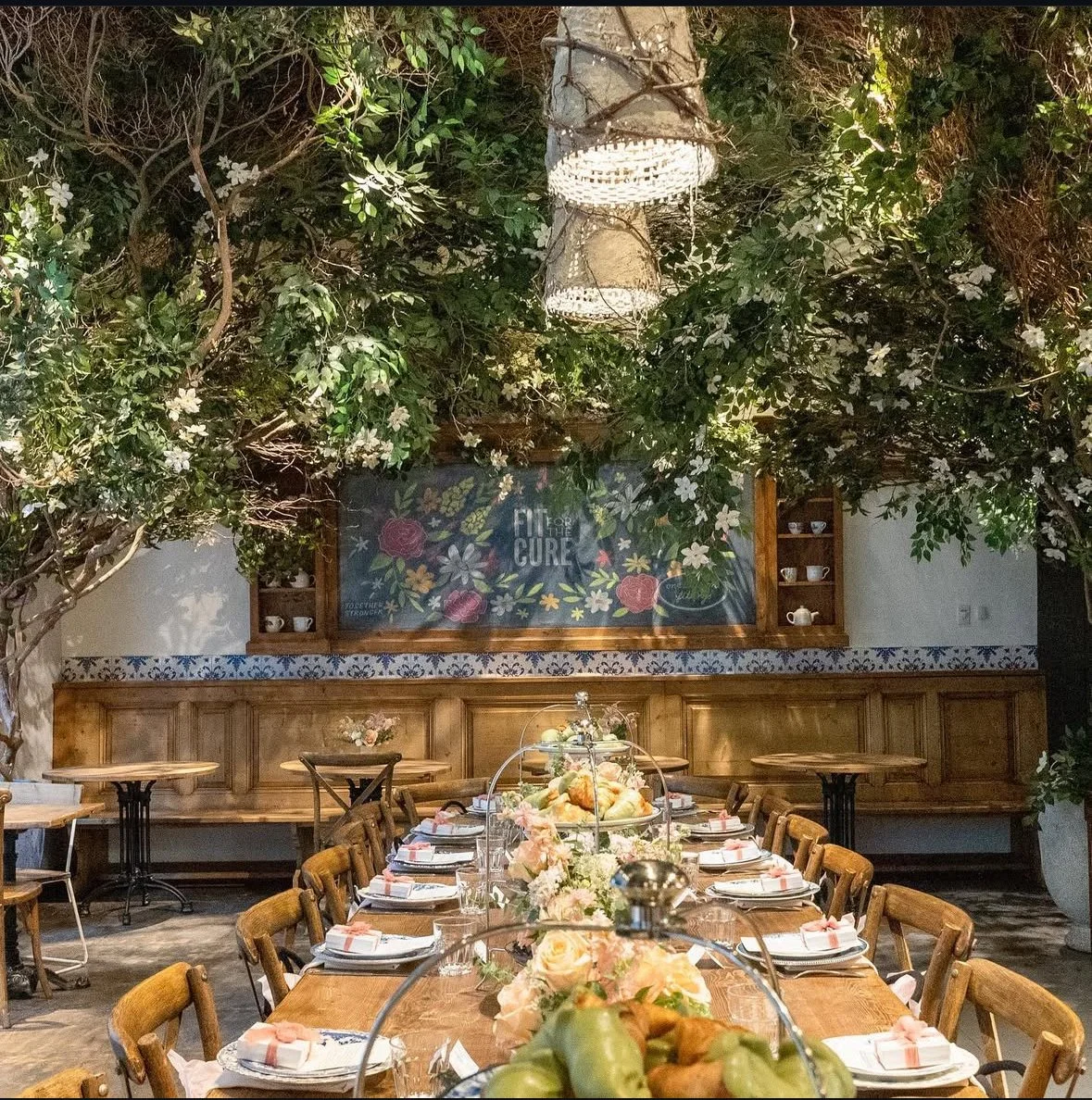 Wacoal x Susan G Koman Fit For the Cure