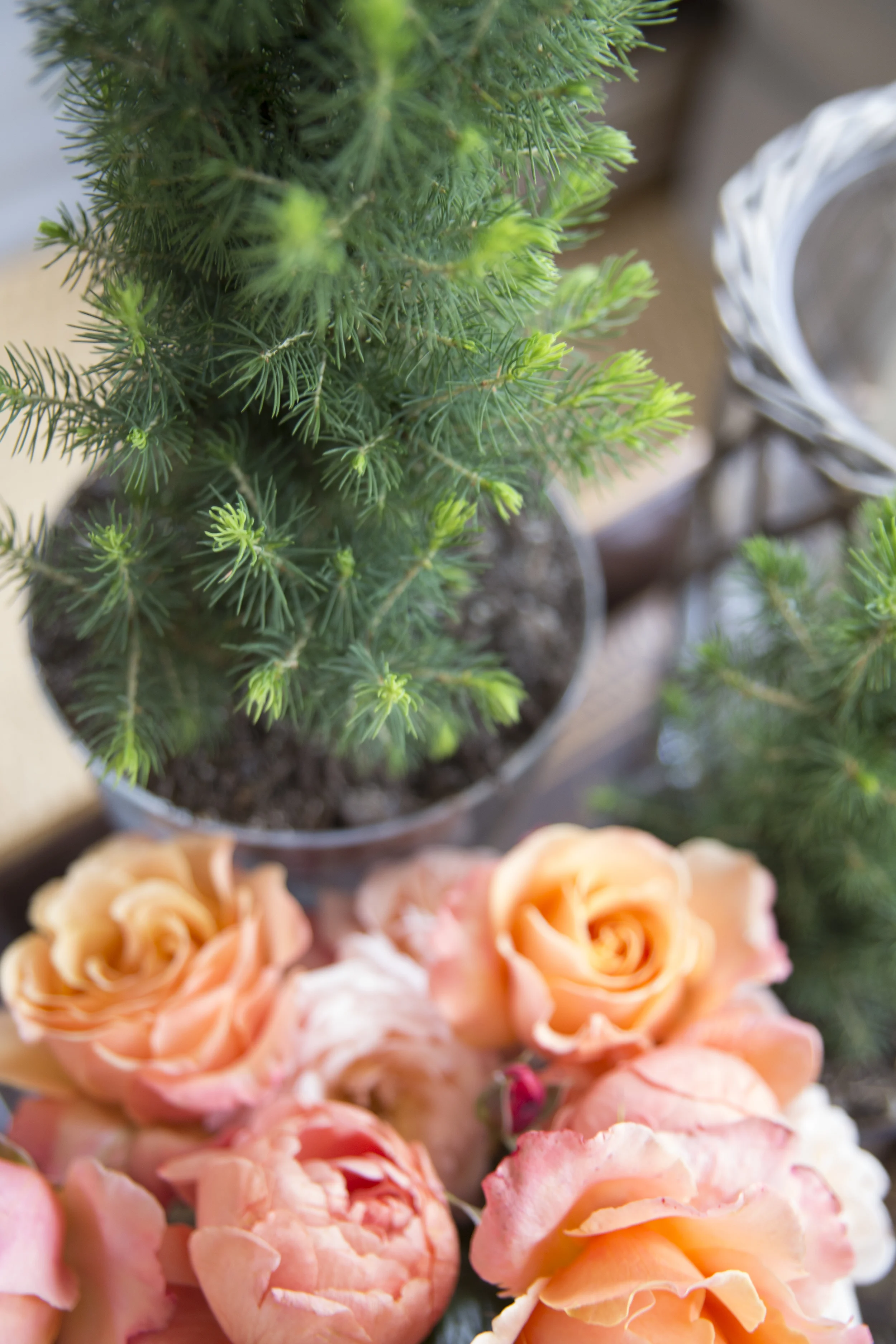 Why You Need Flowers In Your Home