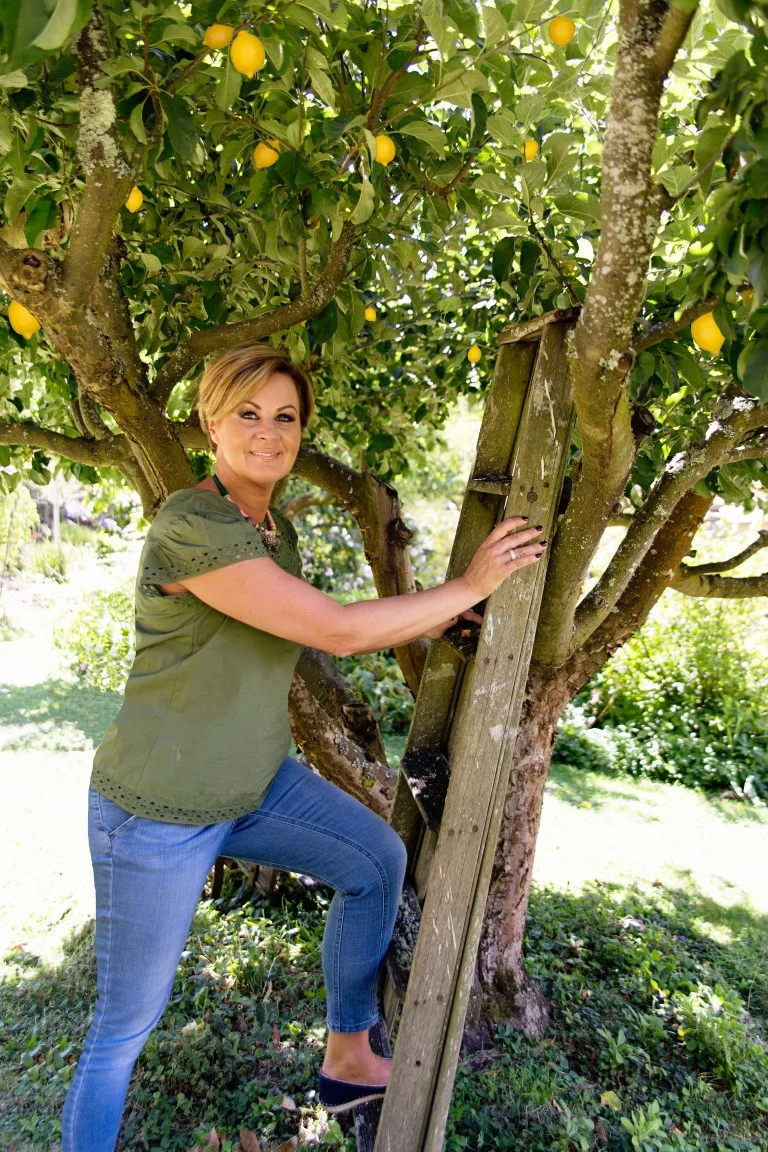 Tips For Growing The Perfect Lemons