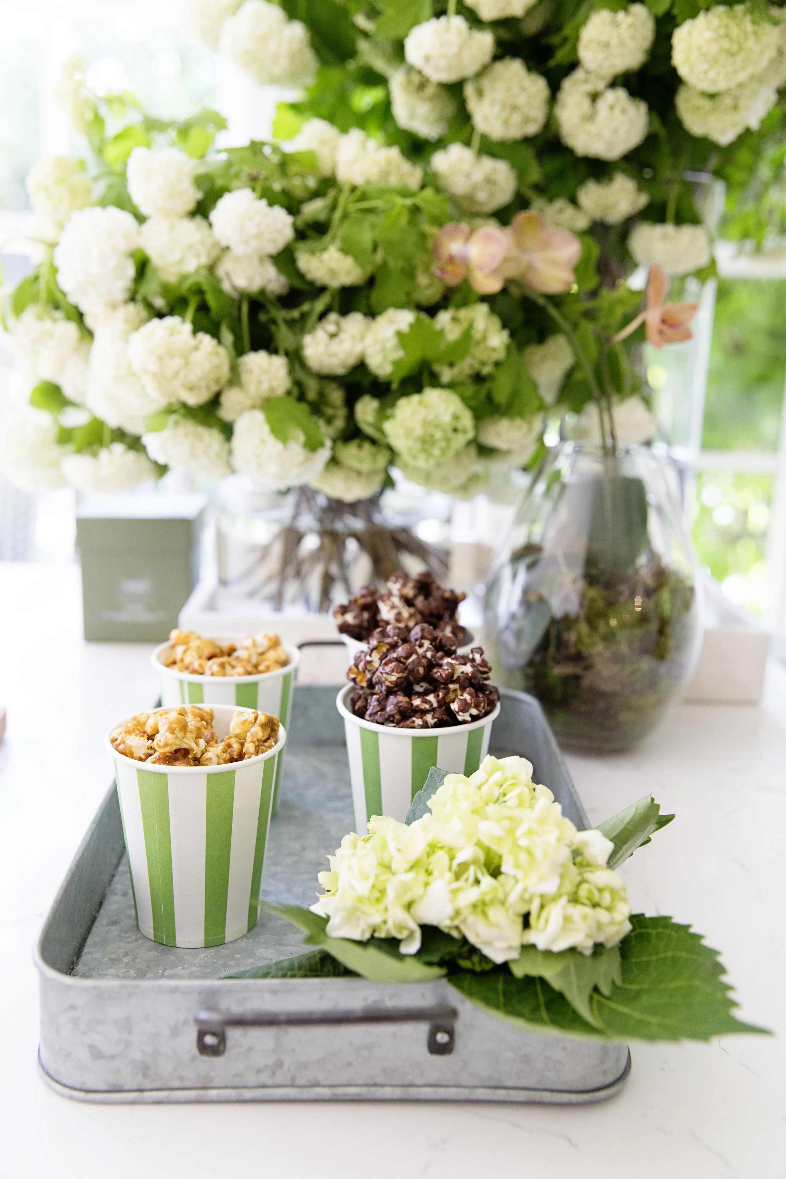 Image of Bouquet of popcorn hydrangea flowers