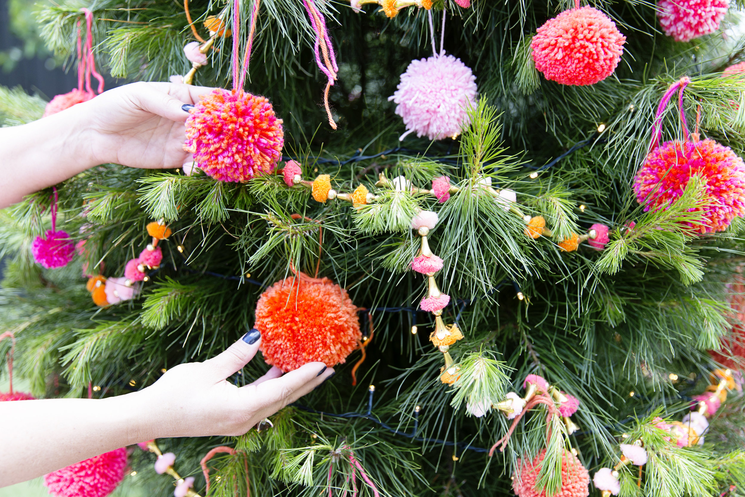 Pom Pom Tree 021.JPG