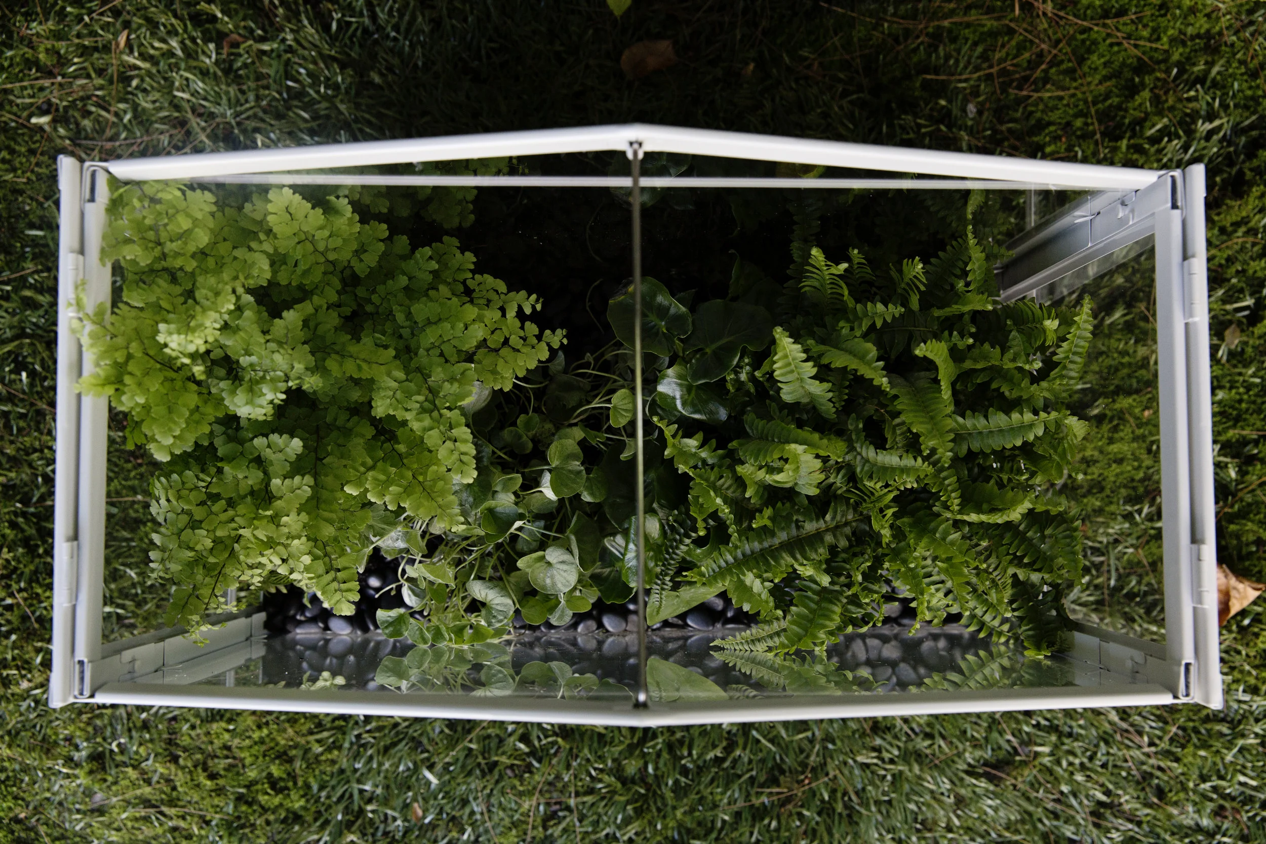 An Easy To Make Terrarium