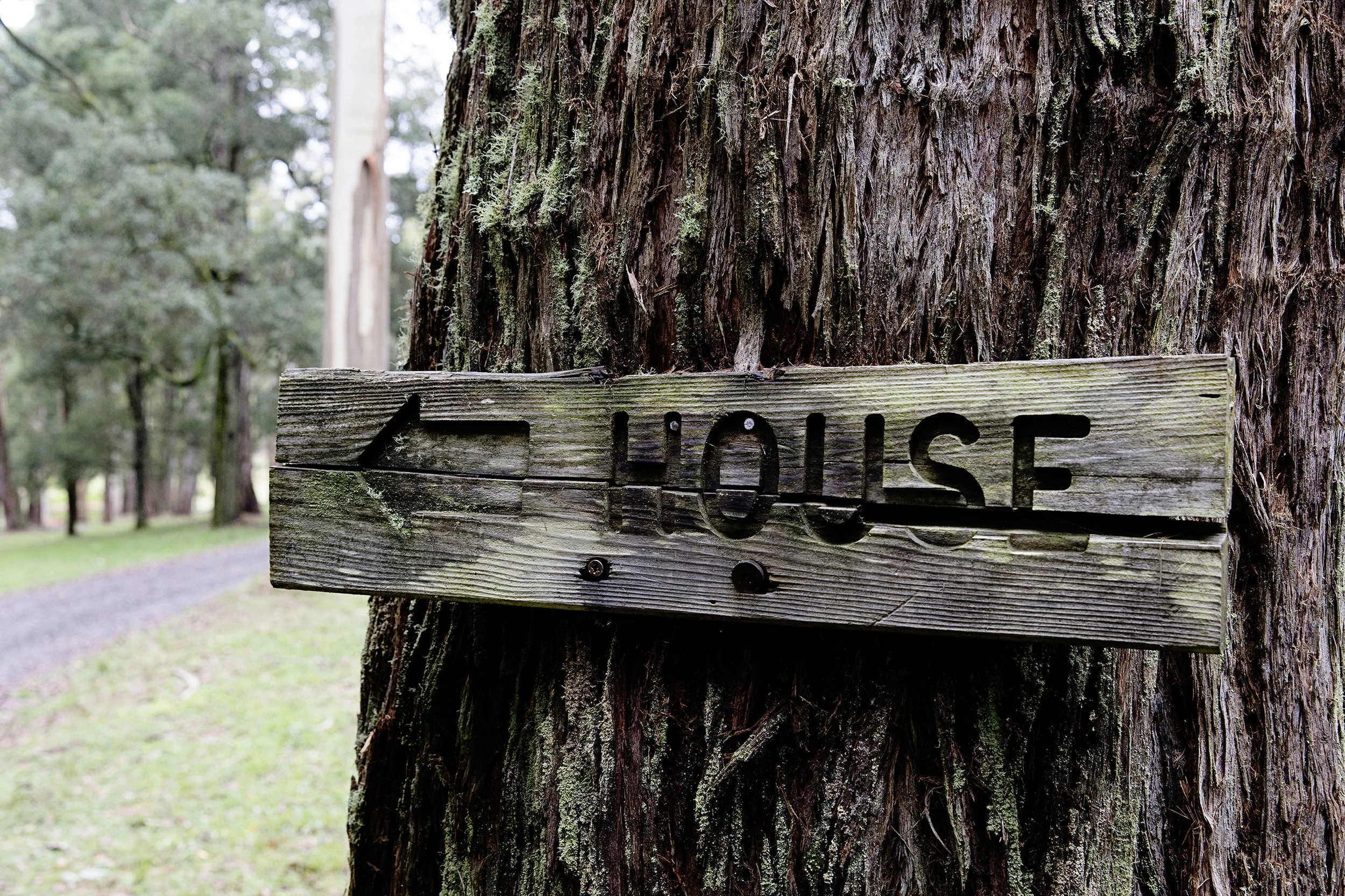 Six Fun Bonfire Activities