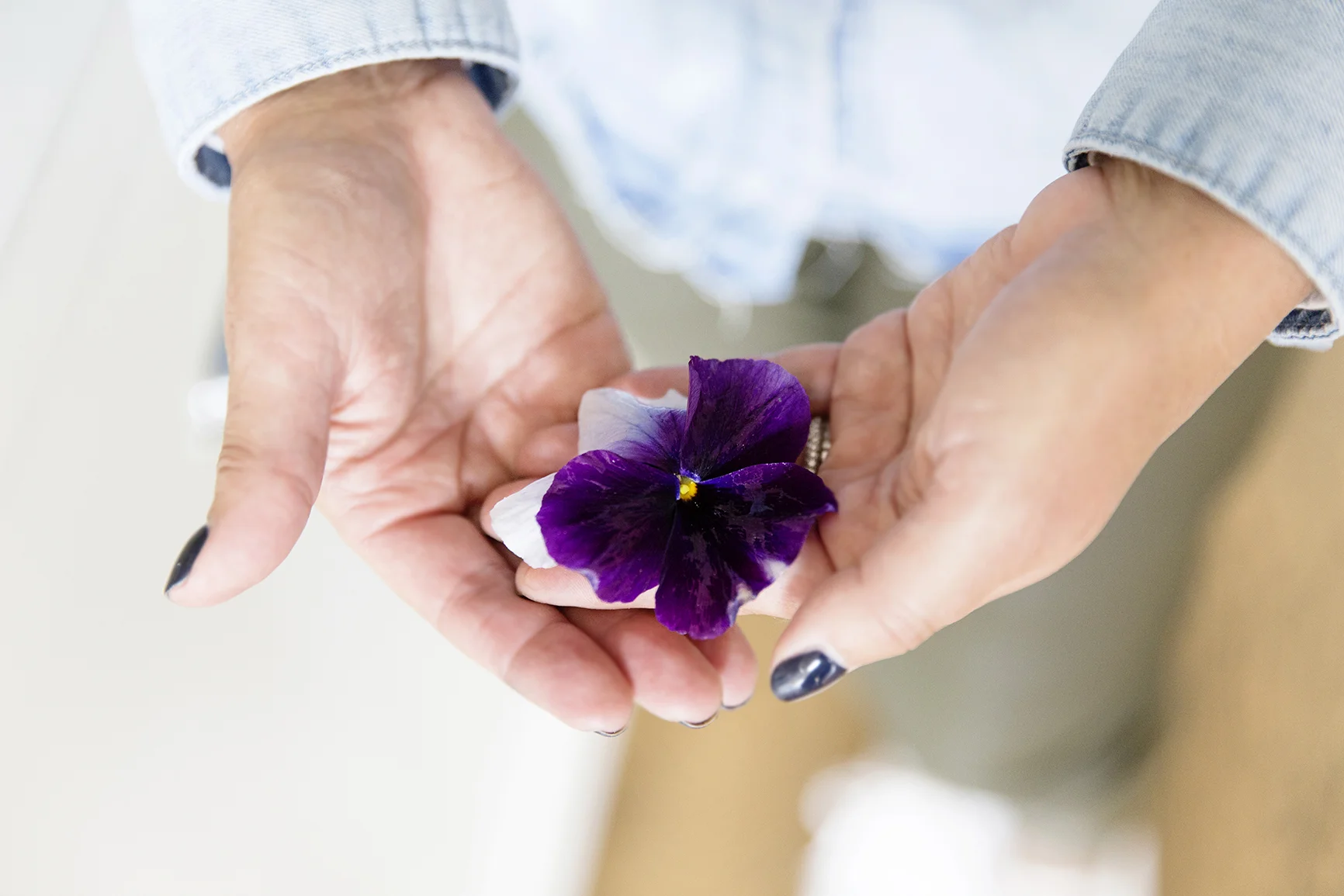 Pansies, From Garden To Plate