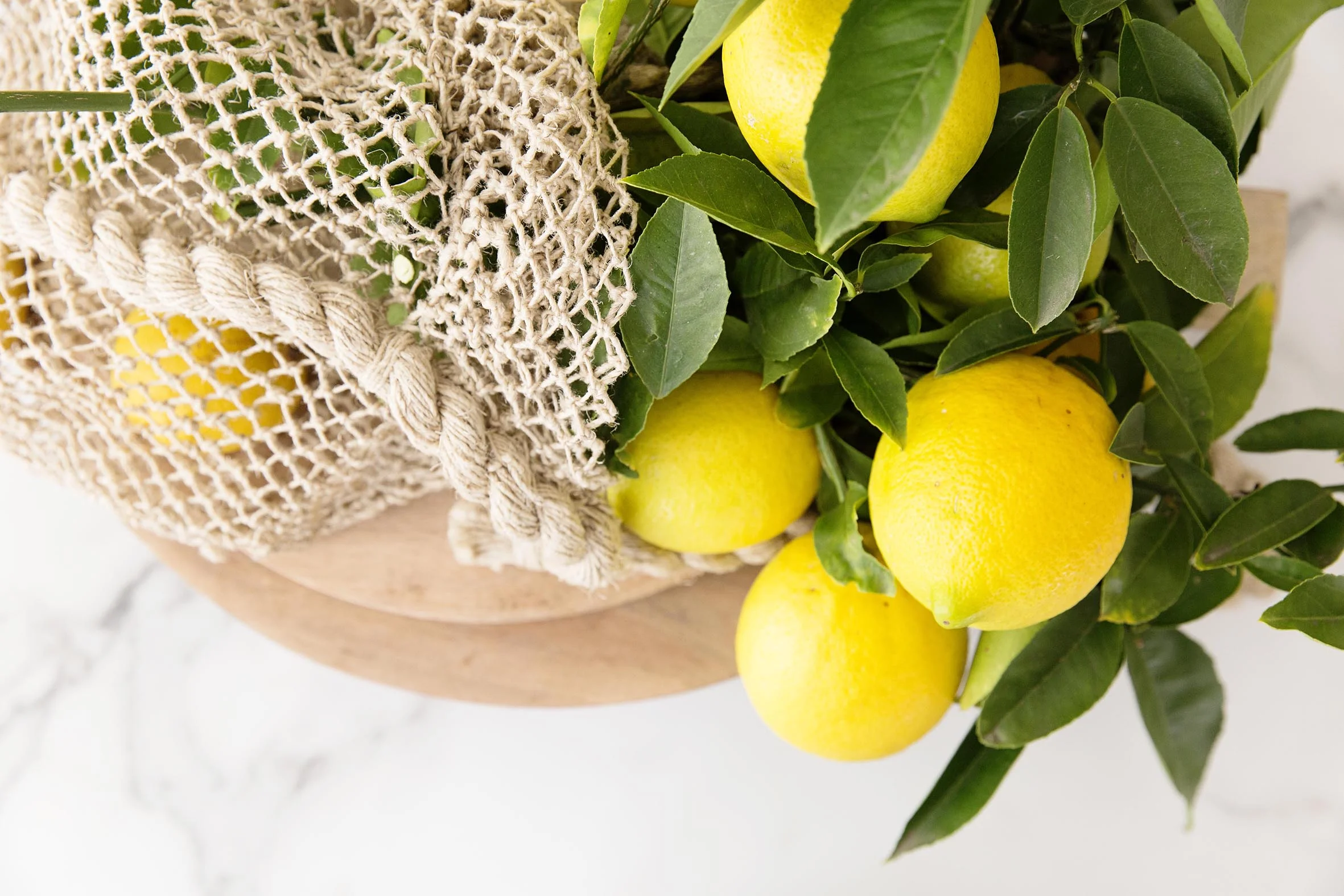 Spring Cleaning With Lemons