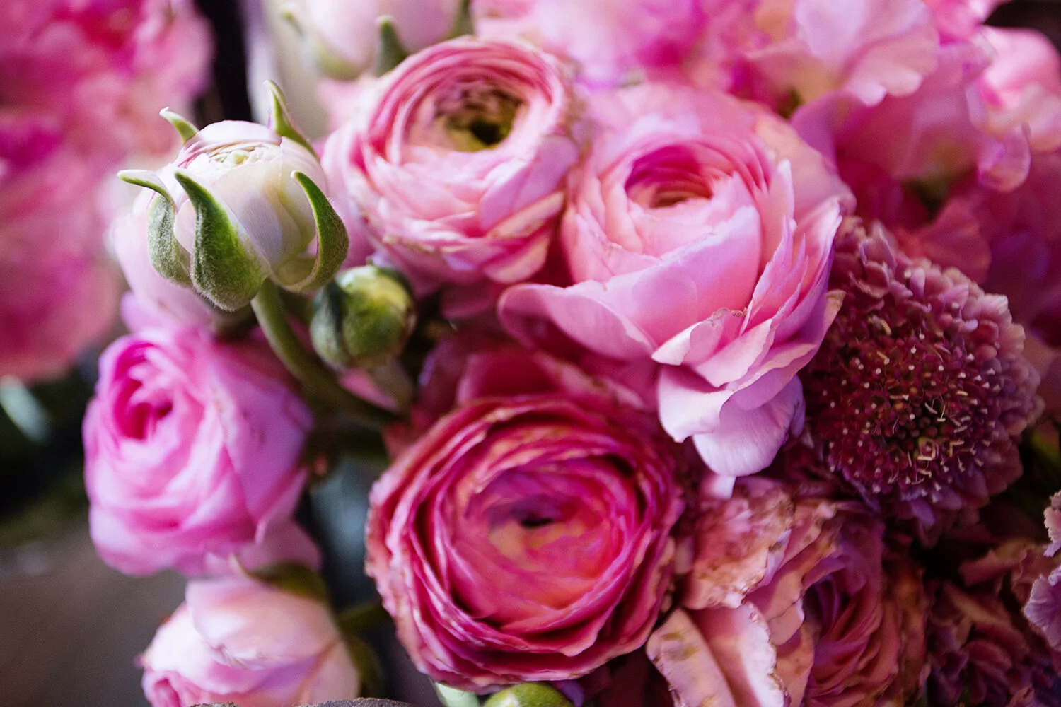 Let’s Get Through This Lockdown Together!