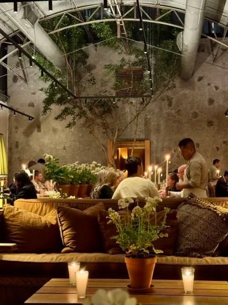IMG_3233.jpg