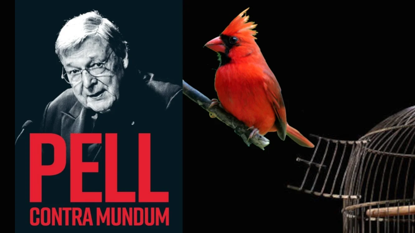 Pell Contra Mundum: Cardinal Truth on the Synod