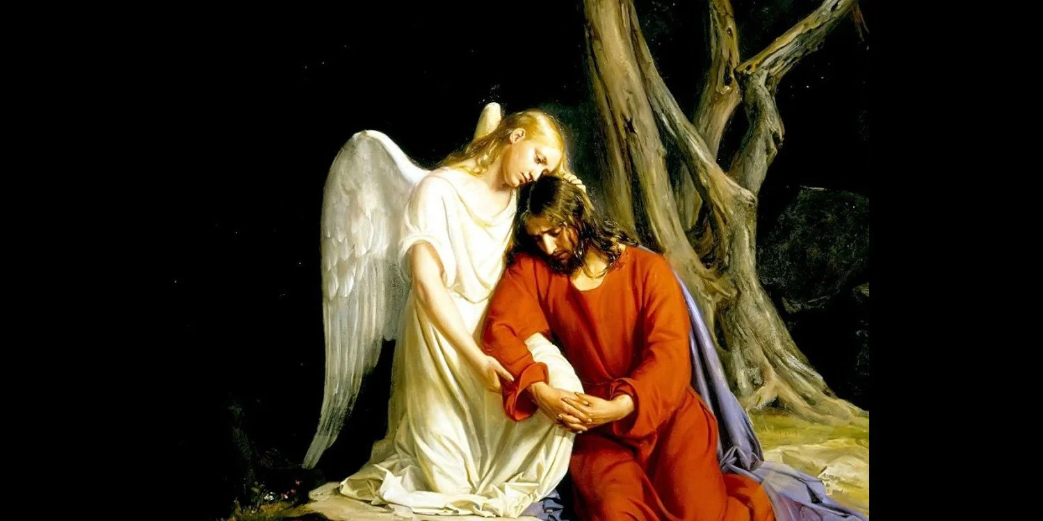 Optimism: When Hope Springs Eternal