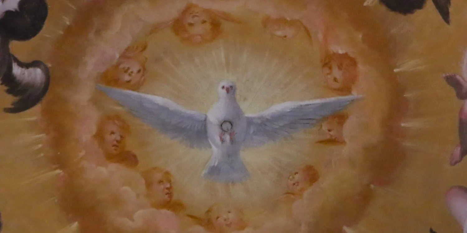 The Holy Spirit as a dove.  Angelic faces encircle Him.