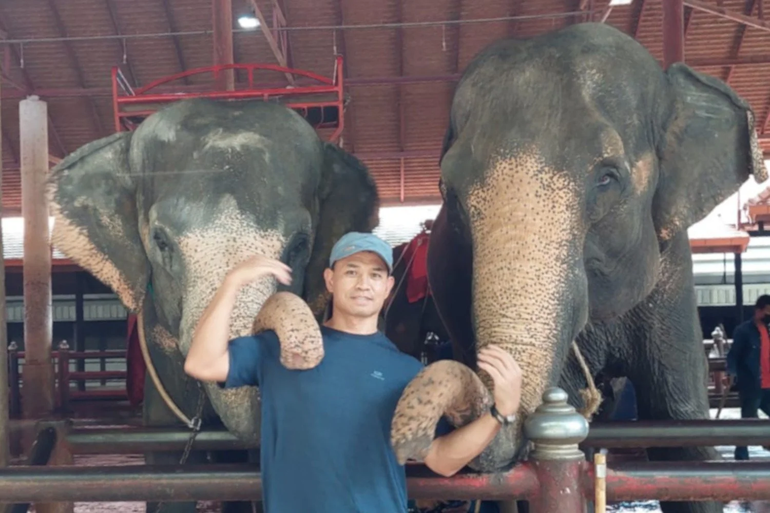 Pornchai Max Moontri between two friendly elephants
