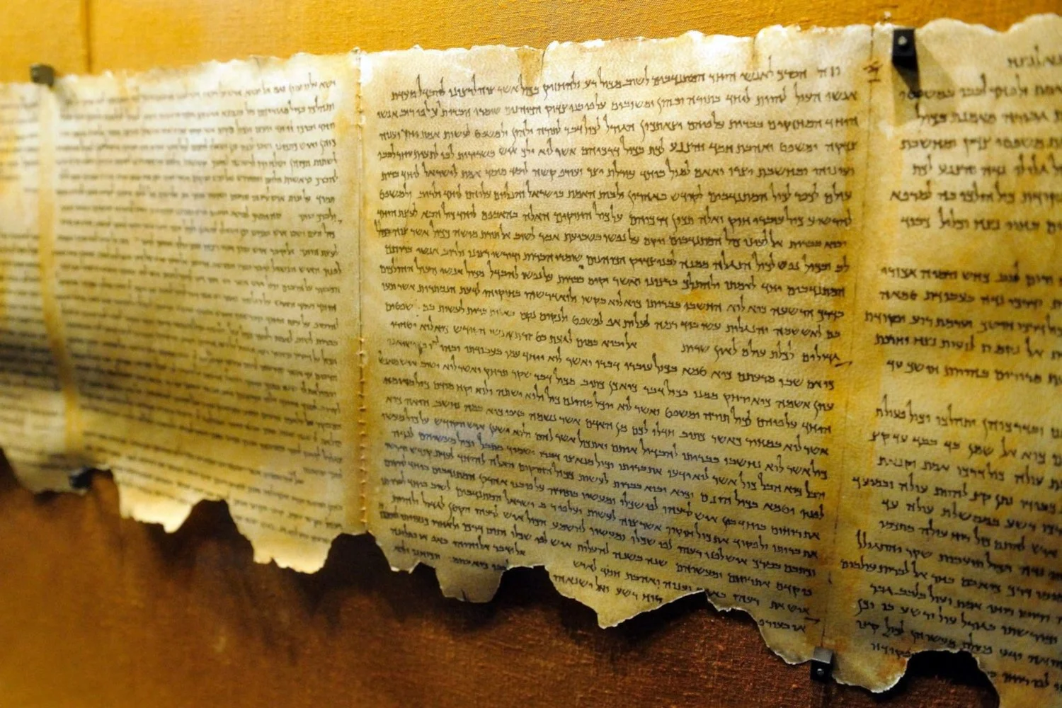 Dead Sea scrolls