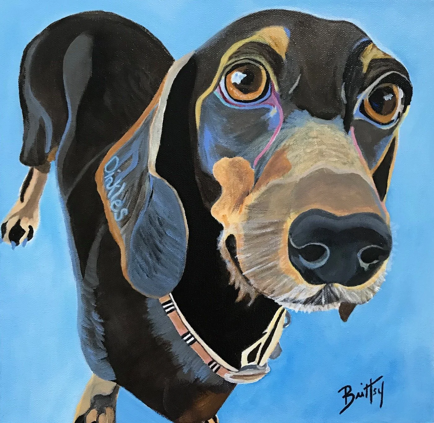Painting of a black and tan Dachshund dog with large eyes, wearing a collar, set against a blue background, signed by artist Buitty.