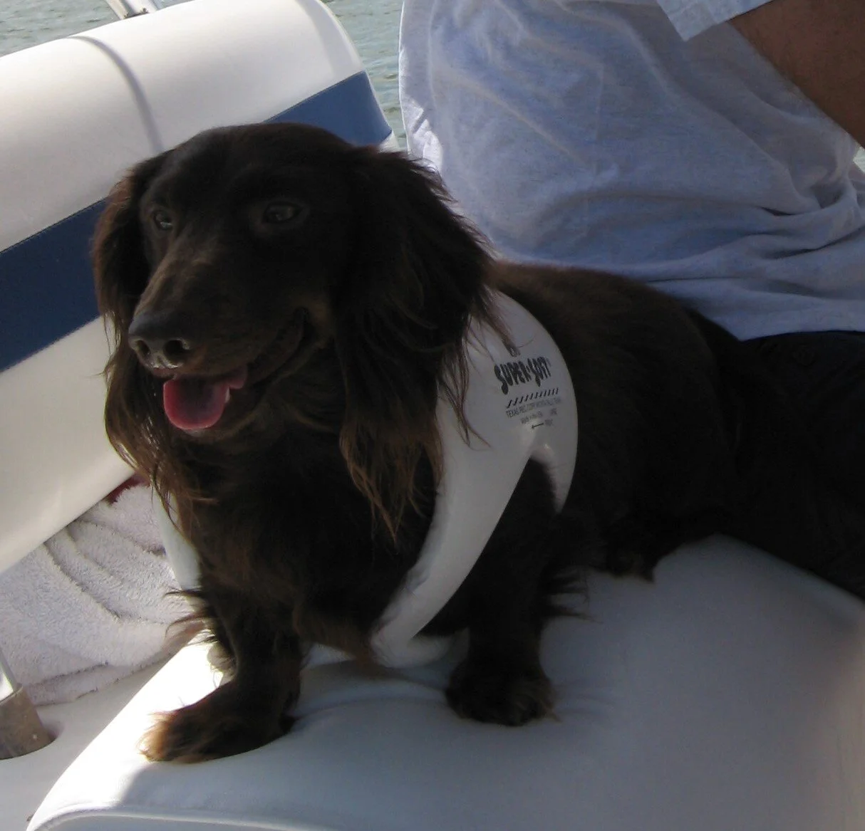 A black dog with long ears and a pink tongue sitting on a boat seat. The dog is wearing a white life vest with writing on it. There is a person sitting nearby and water in the background.