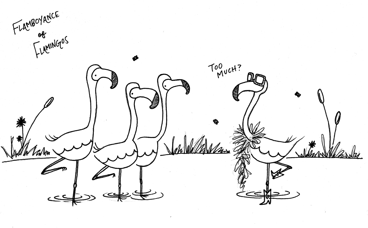 Flamingos_jointhegroup.png