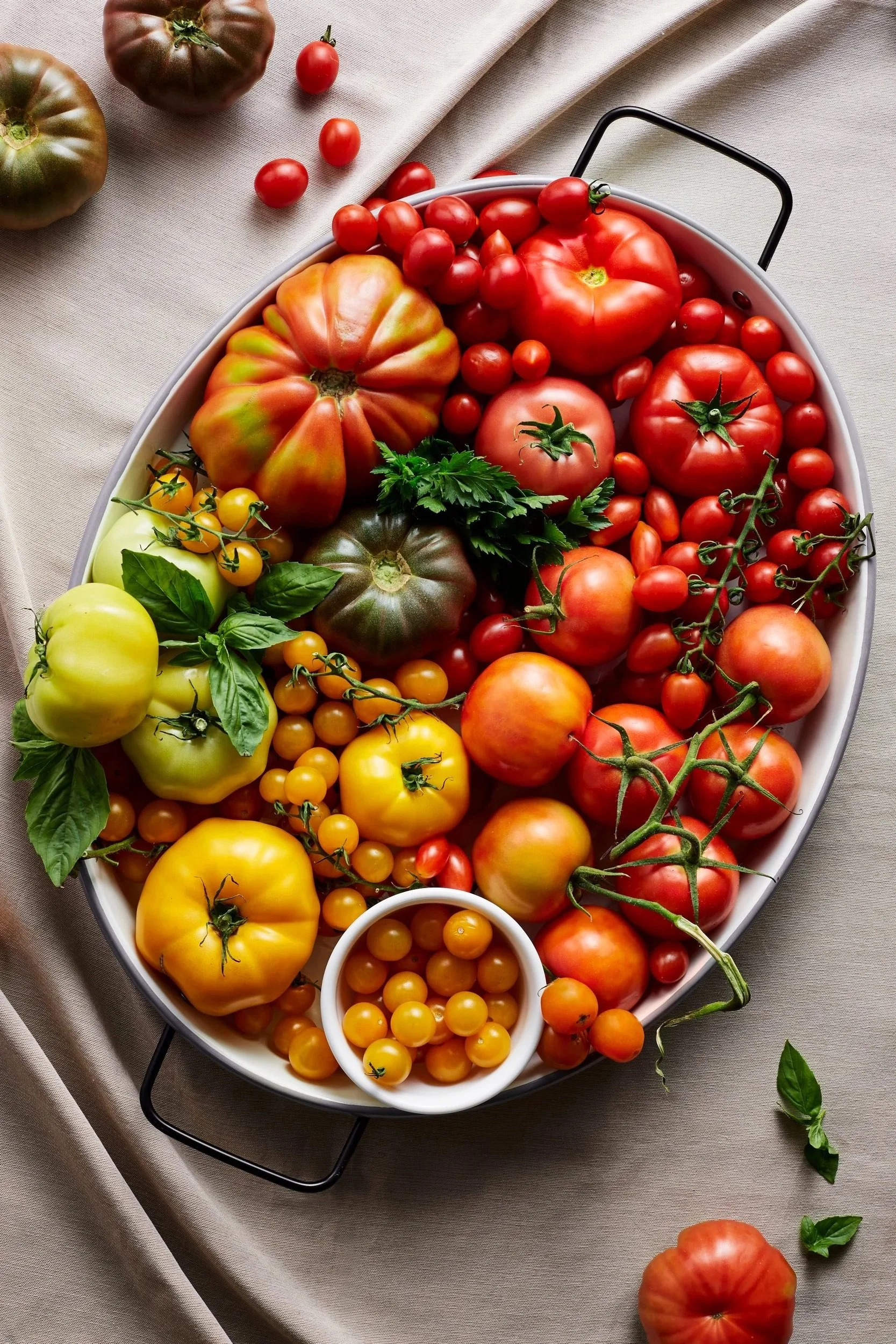 Tomatoes_101_Campaign_EMAIL_0540.jpg