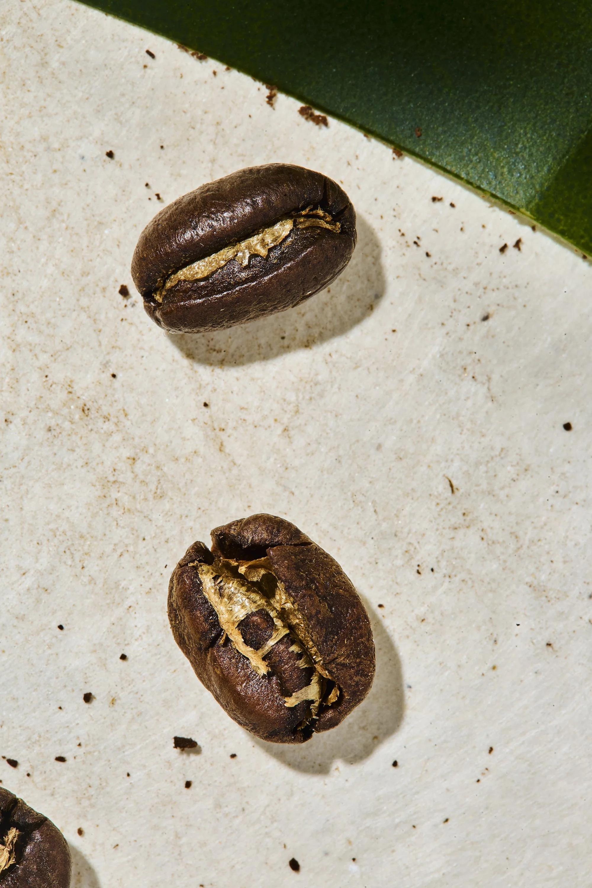 LoveGrown_Macro_Textures_1172.jpg