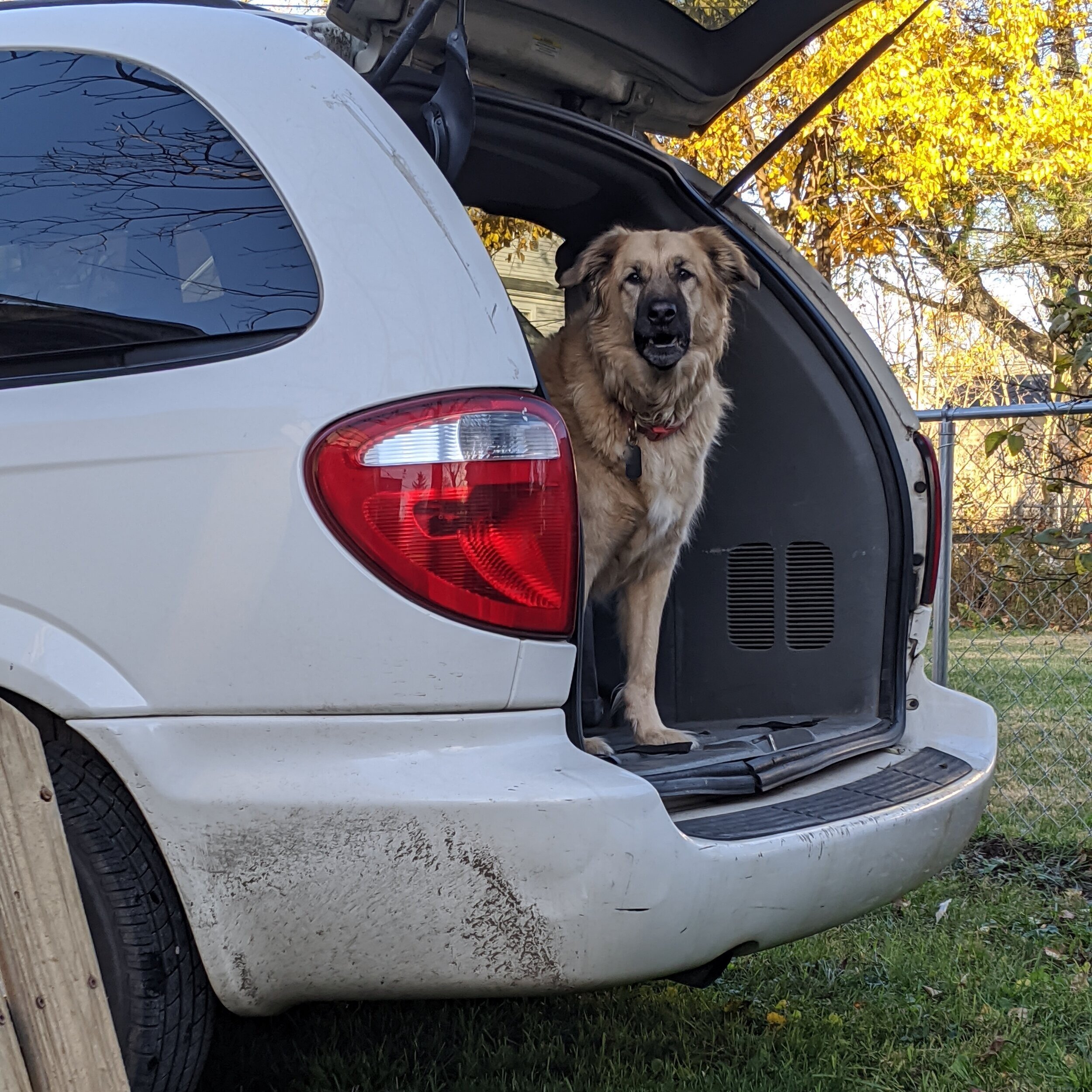 Is it time to get in the car yet?