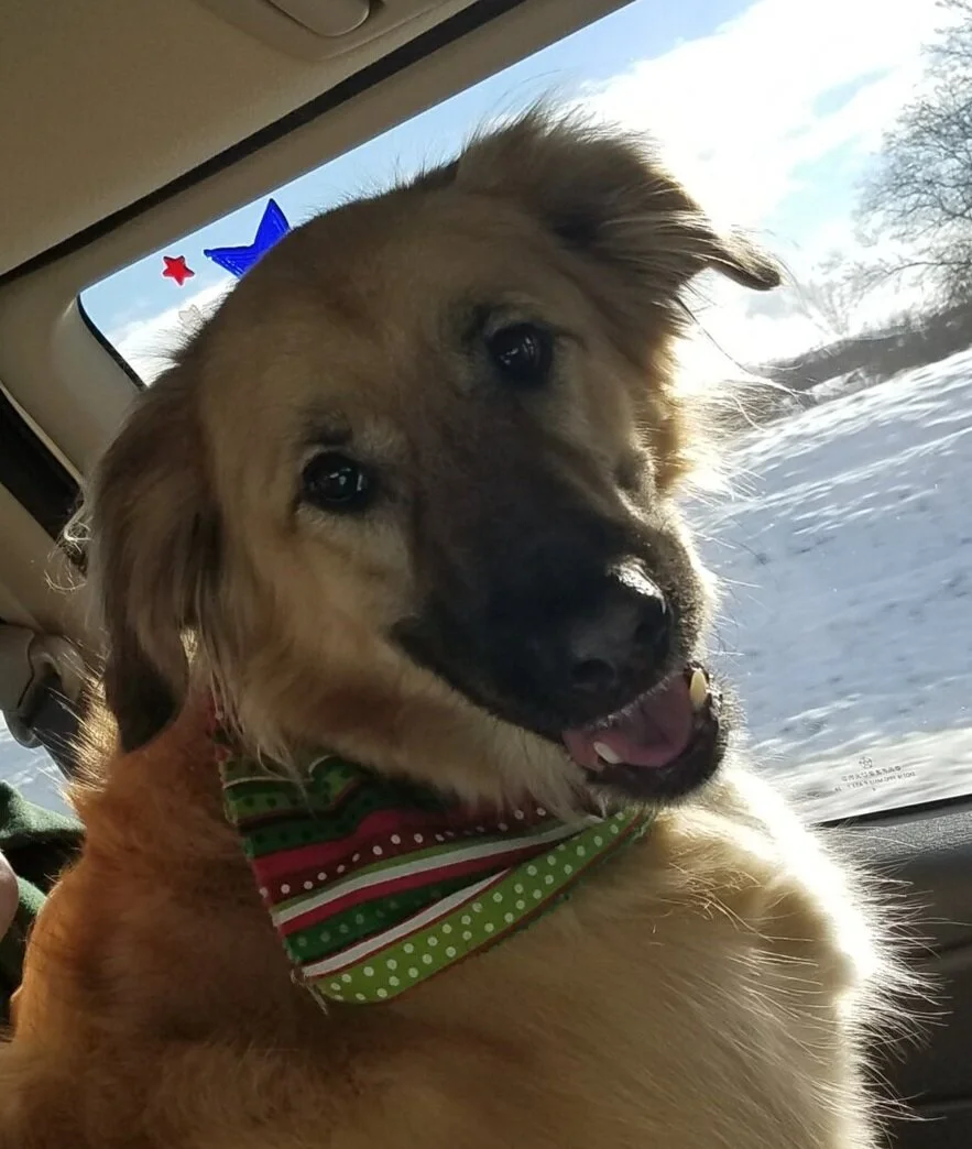 SHOUT's Last Road Trip