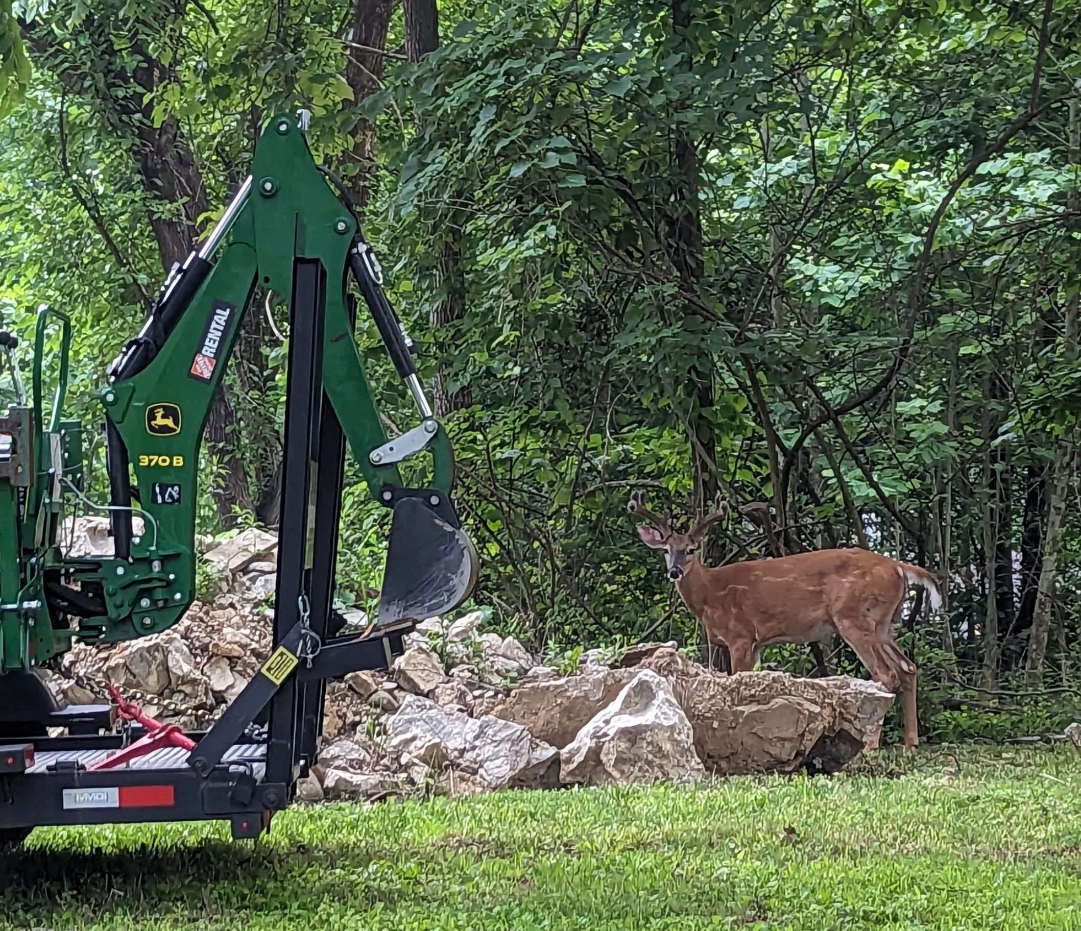 oh Dear, oh Deere, oh Deer