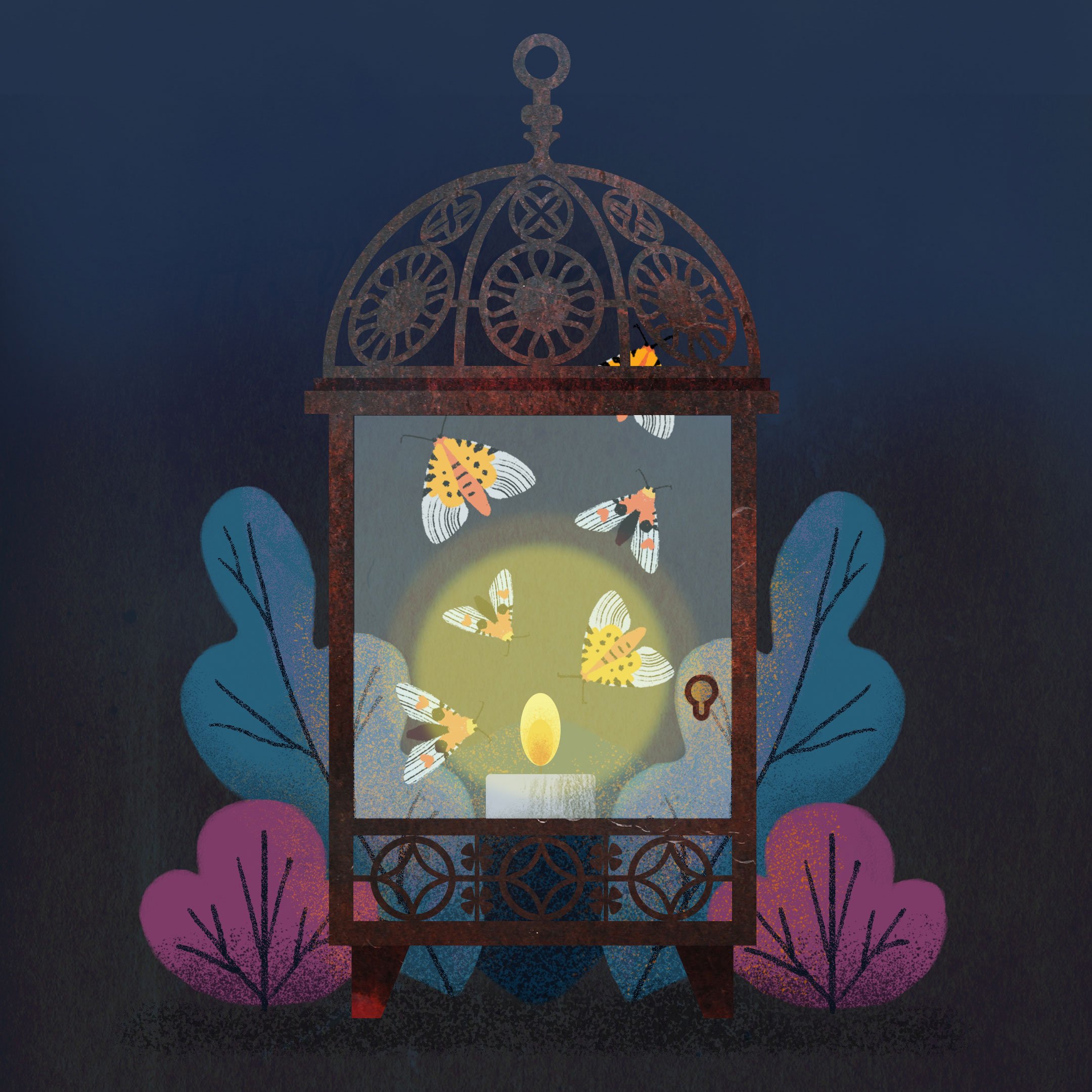 Moth.jpg