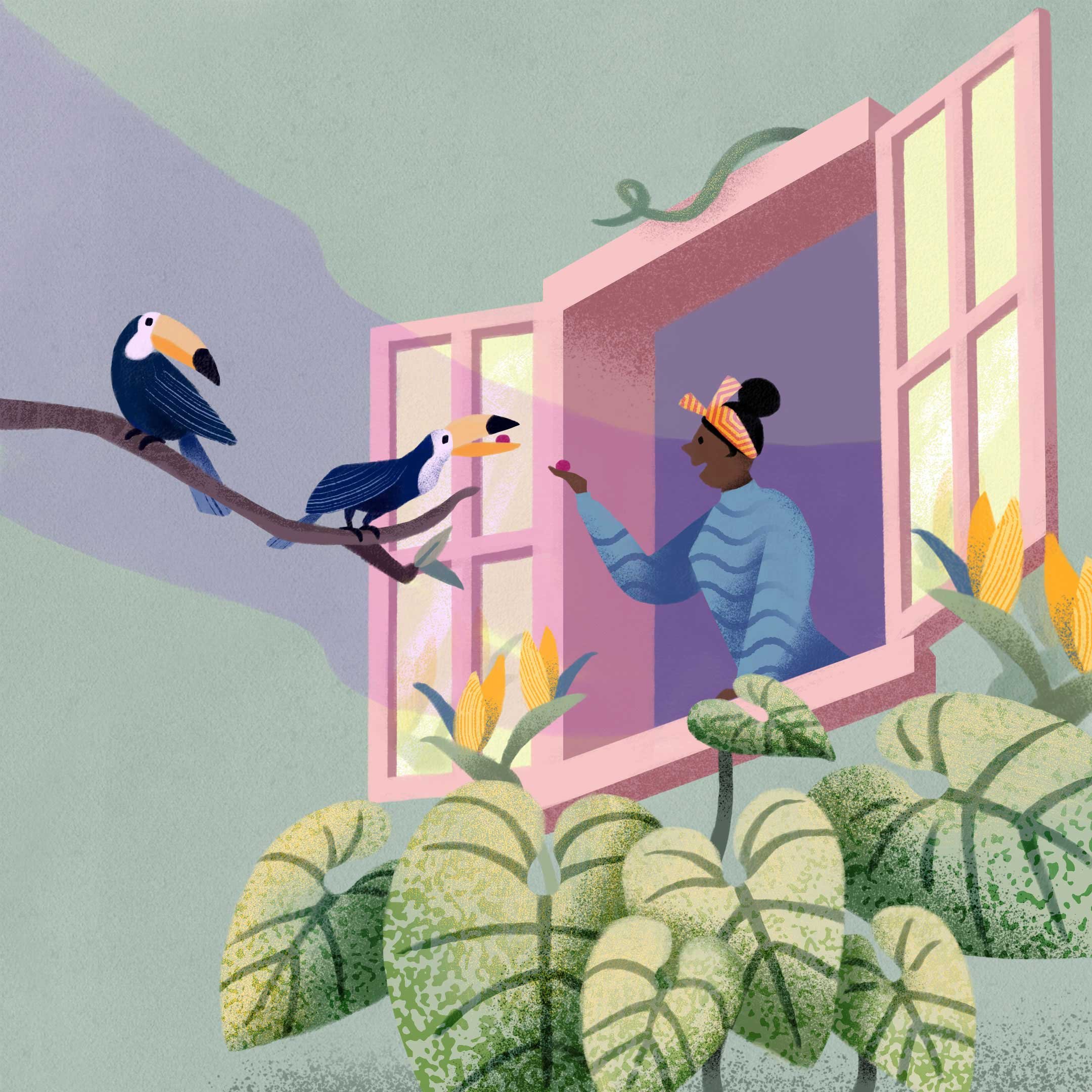Window_Tucan.jpg