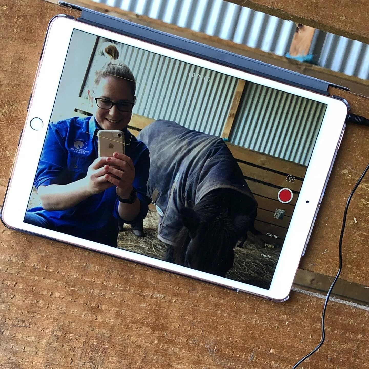 Filming for our presentation next week 🐎 🥕 
#learningnewthings
#thepreinvitation
#outdoorhealthsymposium
#outdoorhealthcare 
#aabat 
#groundworktherapy 
#groundworktherapyteam 
#pheobeisalegand
#bolty
#grateful