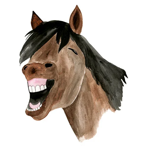 horse-2.jpg