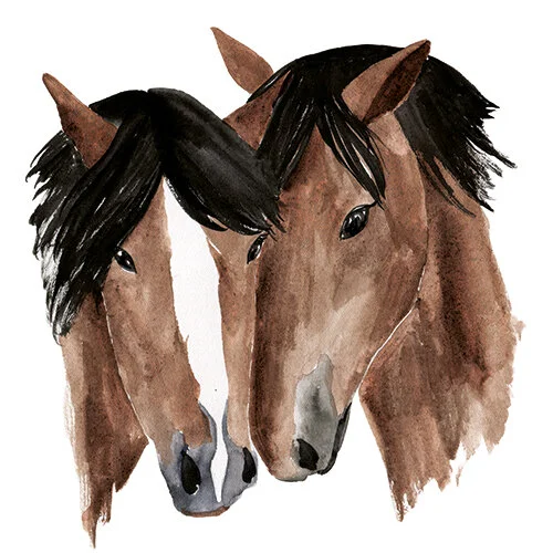 horse-5.jpg