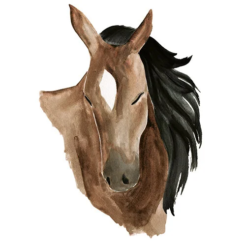 horse-6.jpg
