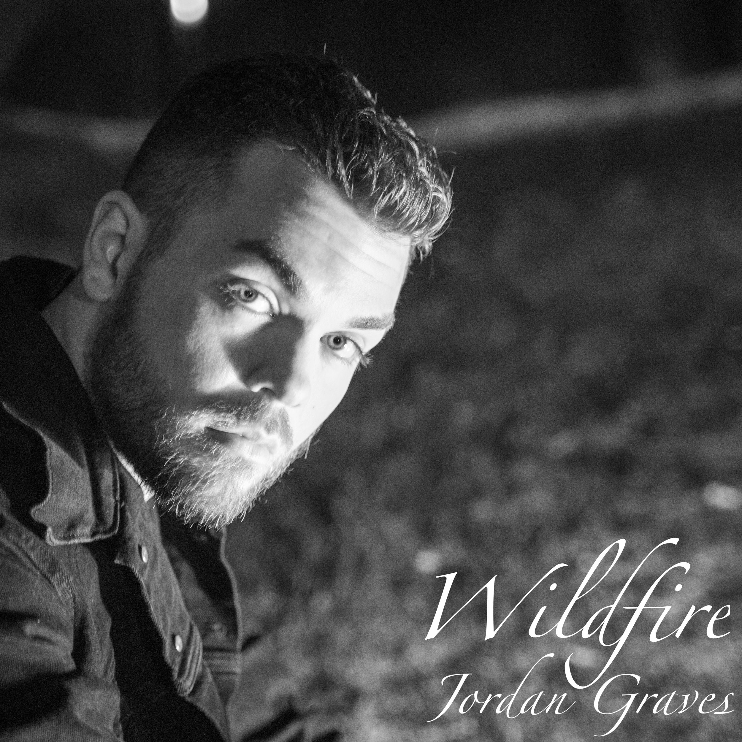 WILDFIRE OFFICIAL COVER ART with text.jpg