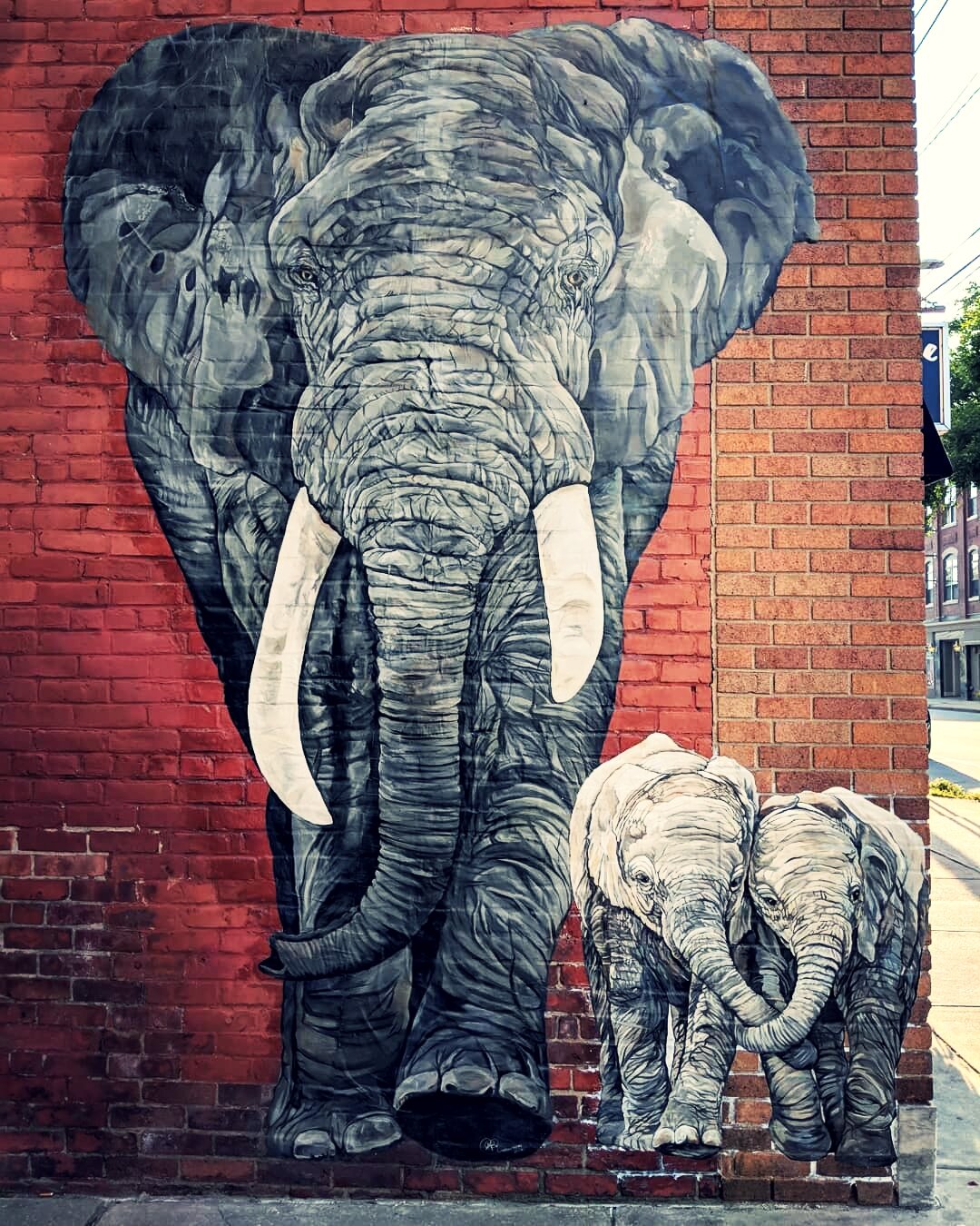 "The Elephants," Kathryn Wiegers, 2016, West Street. (Copy)