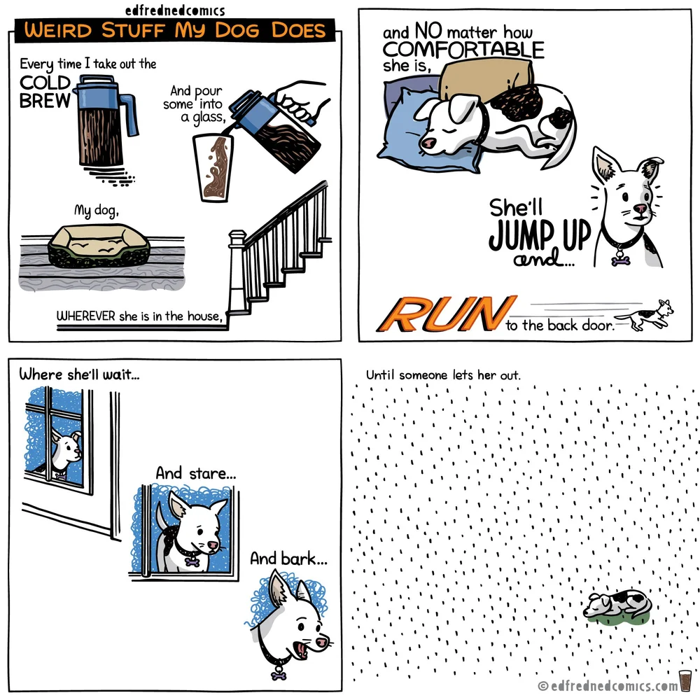 Short comics and 1 panel cartoons — Edfredned Comics