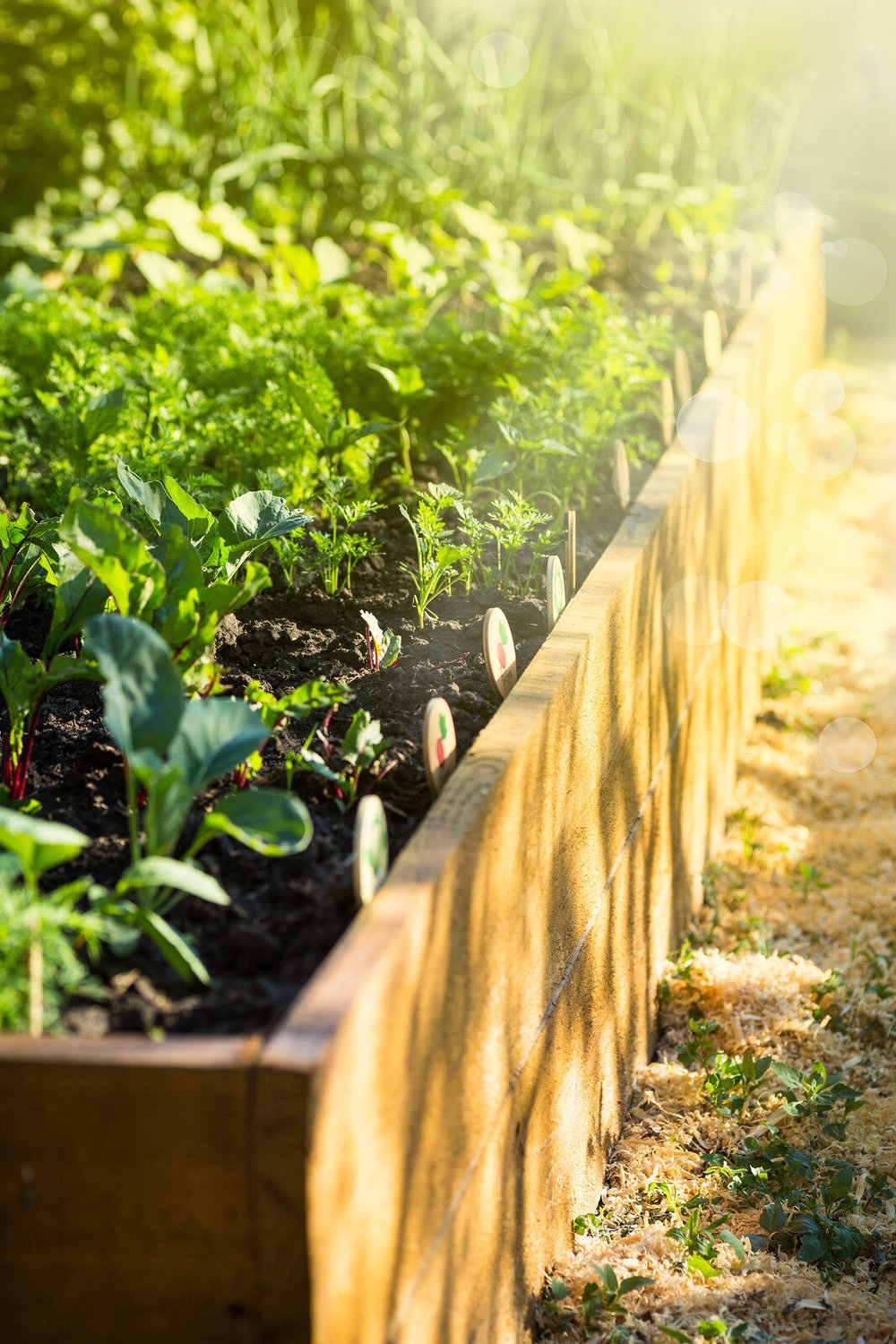 garden in a box kit boulder on Shop Our Favorite Products Lovage Garden Co