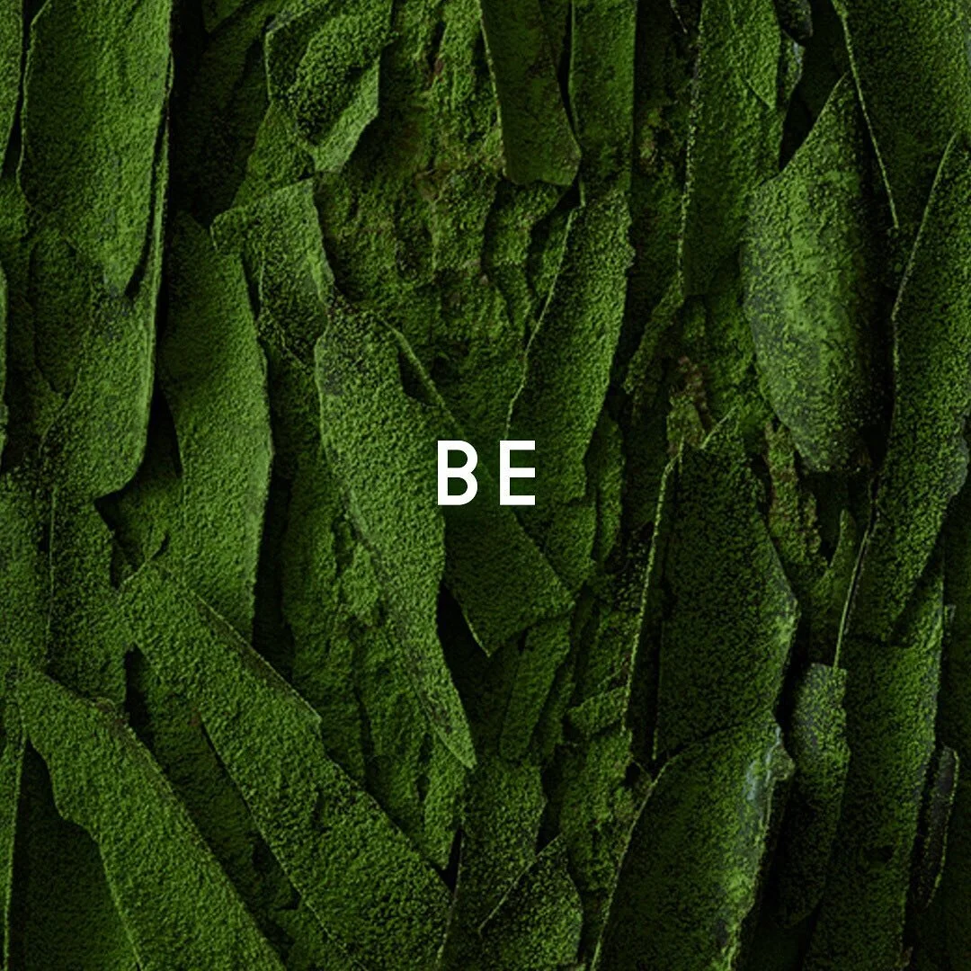 抹茶の再発見　エピソード１終了！

ALL FOR ONE プロジェクト第一弾、マクアケでの究極の抹茶スイーツと抹茶のコラボ企画が、１月３０日で無事応援購入期間を終えました！ワクワクしてくださった方、応援購入をしていただいた方、皆様ありがとうございました！

■リターンの配送について
３月から順次皆様に発送を開始し、３月中にすべてお届けを終える予定です。究極の抹茶はこれから挽き上げます。挽きたてを鎧塚氏、播田氏にお届けしスイーツに。飲んでいただく用の抹茶は、挽き上げ後すぐに脱酸素剤を封入した缶に