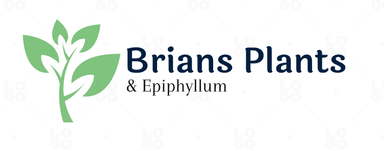 Brian Plants &amp; Epiphylums