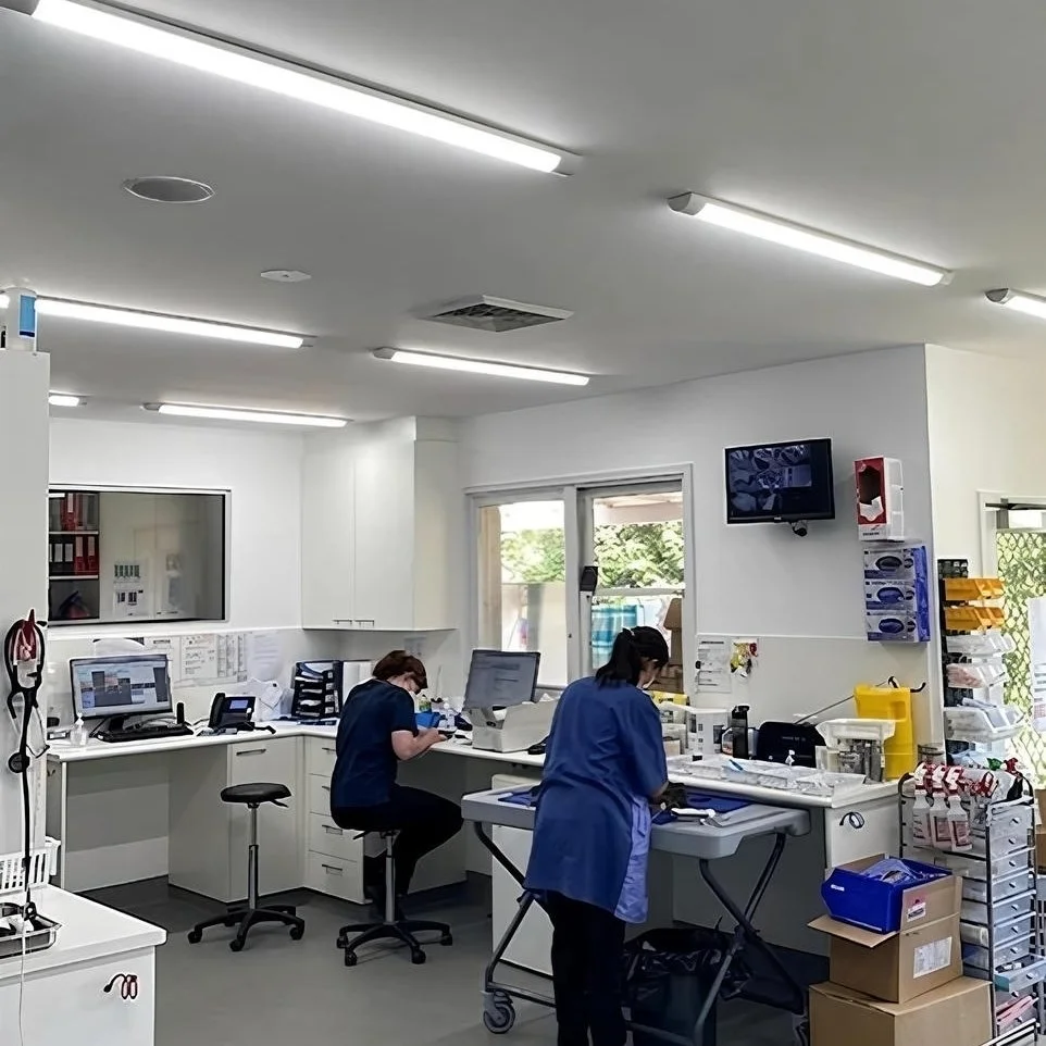 led-lighting-in-clinic-room.jpg