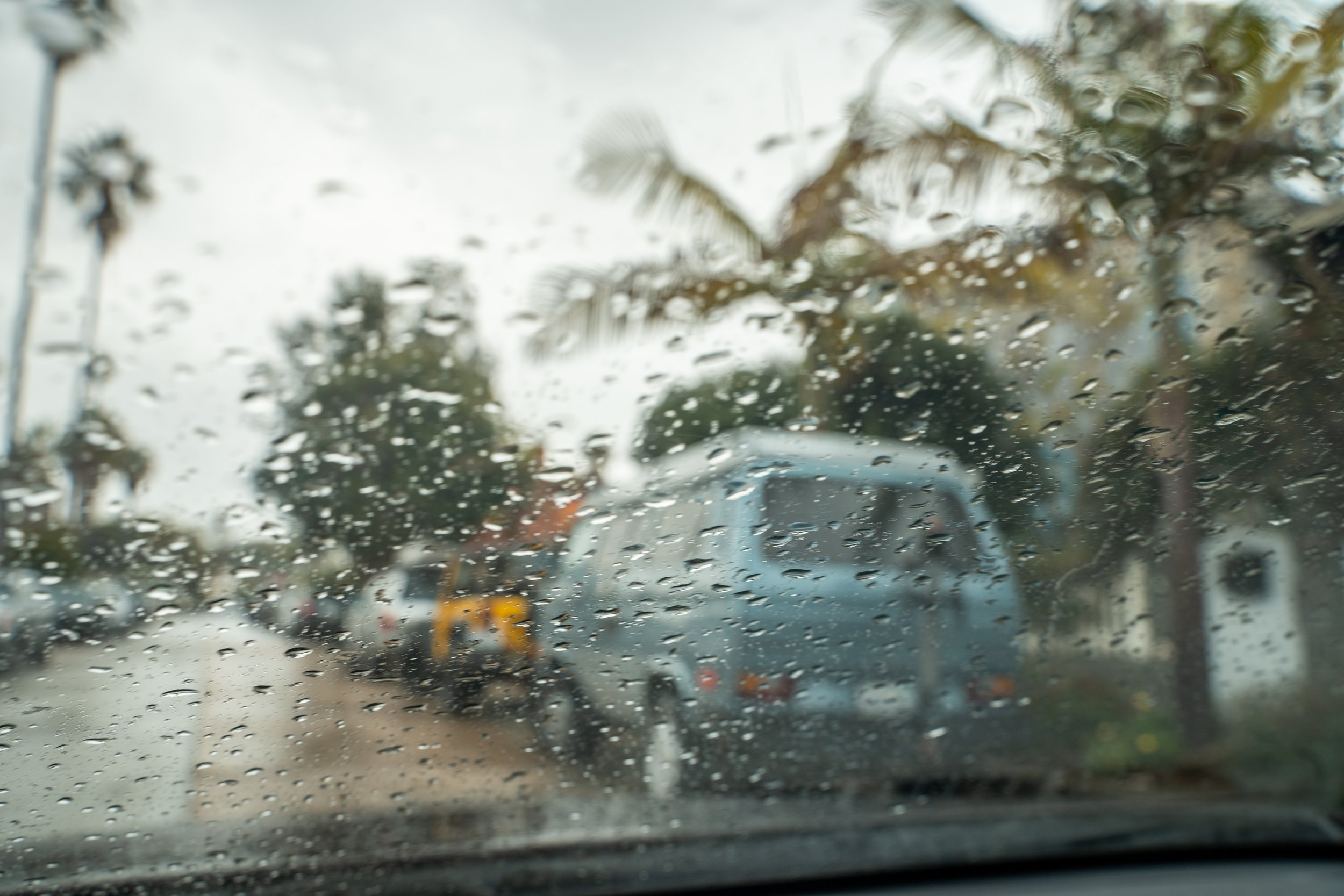 Surfing La Jolla King Tides