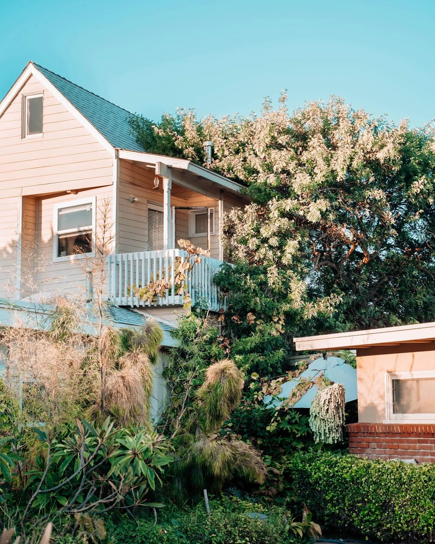 Ocean Beach 🦜
.
.
.
.
.

#sandiego #sandiegofitness #sandiegoliving #sandiegophotographer #sandiegohairstylist #sandiegowedding #sandiegorealestate #sandiegohair #SanDiegoLife #sandiegoart #sandiegoartist #sandiegozoo #sandiegofood #sandiegosalon #s