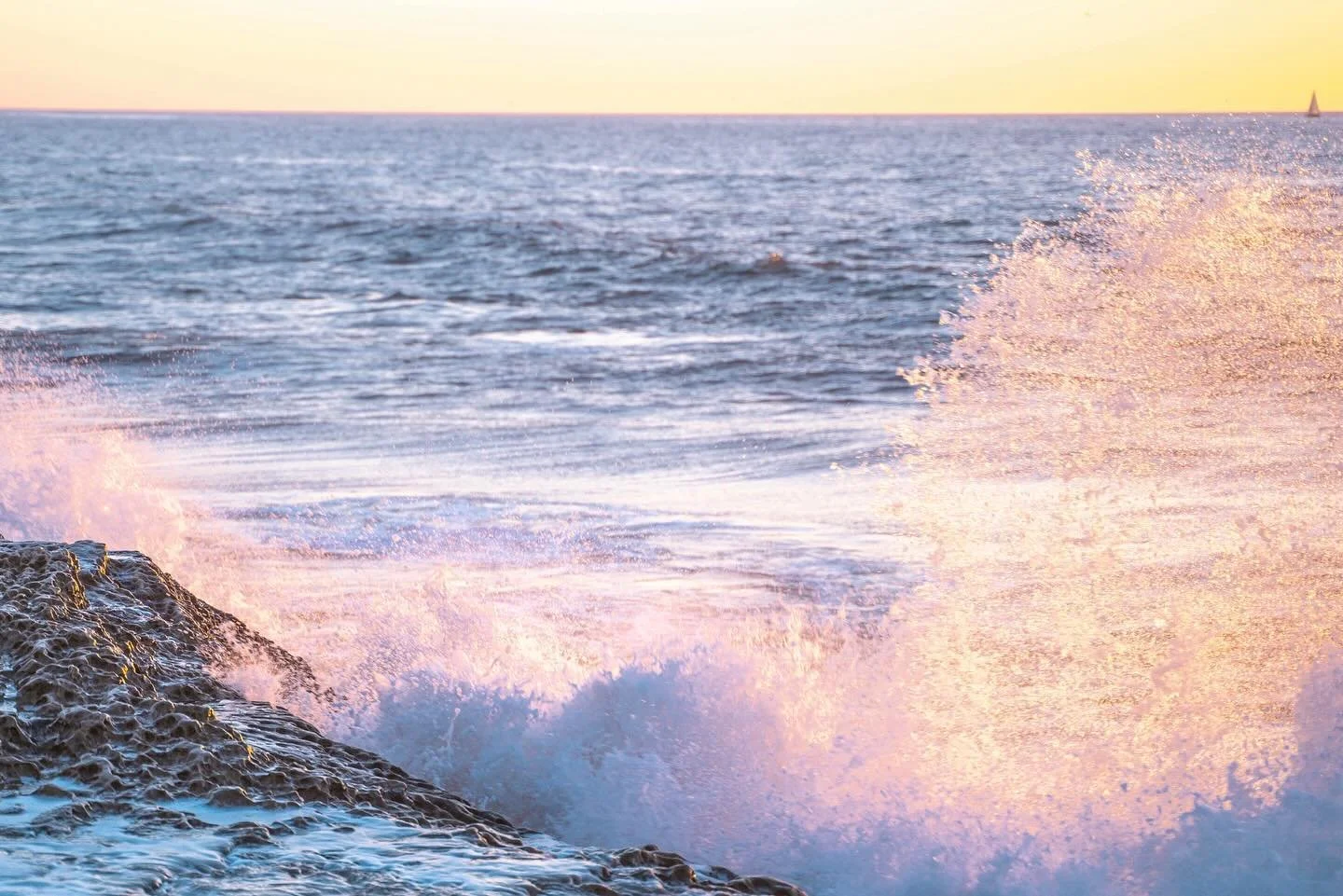 November colors hit different 🌜🌊
.
.
.
.
.
#sandiegolife #sandiegophotographer #sandiegosunset #sandiegobeach #sandiegoportraitphotographer #sandiegowedding #sandiegoweddingphotographer #socalbeaches #sunsetcliffs #california #californiasunset #cal