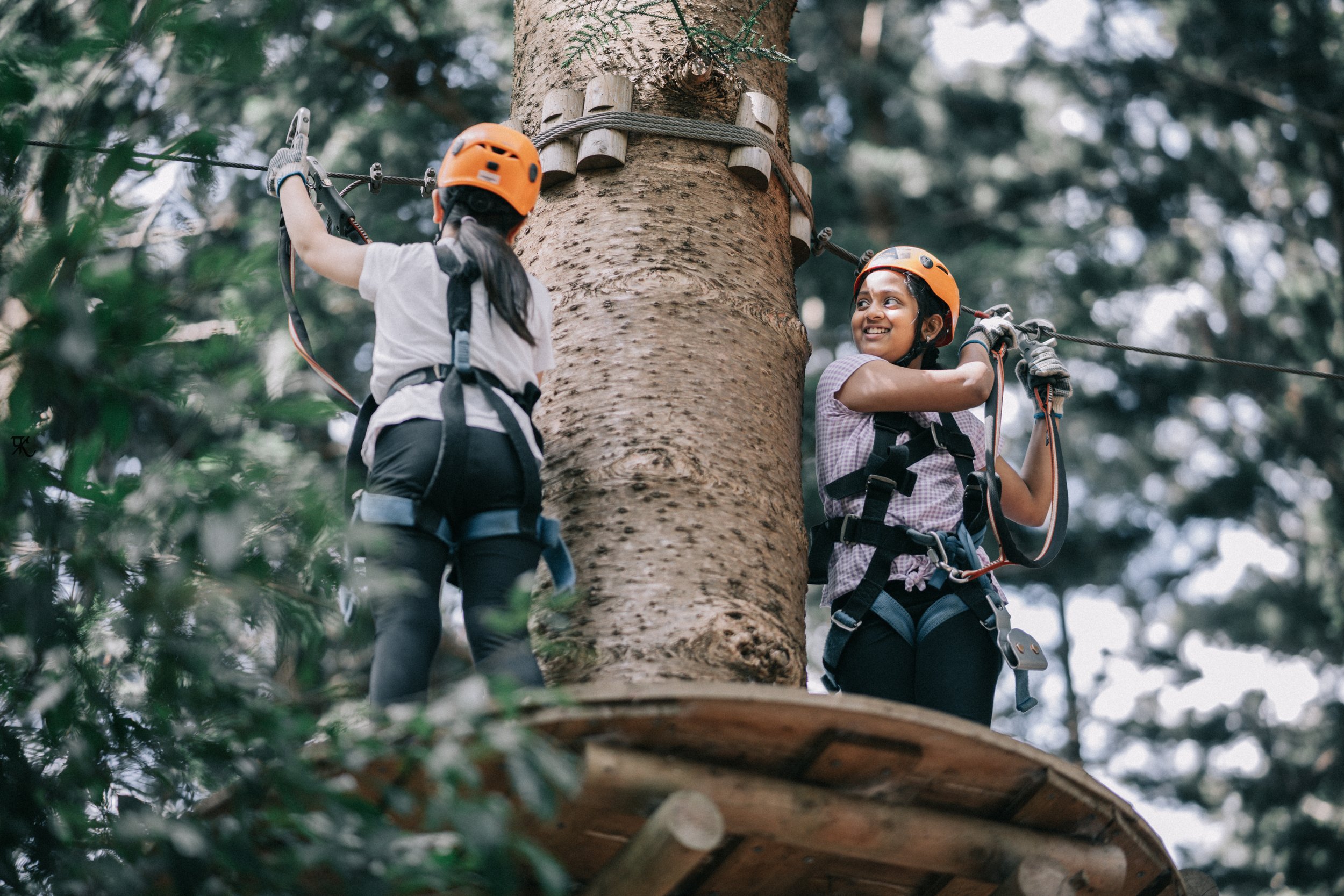 Treetops-62.jpg