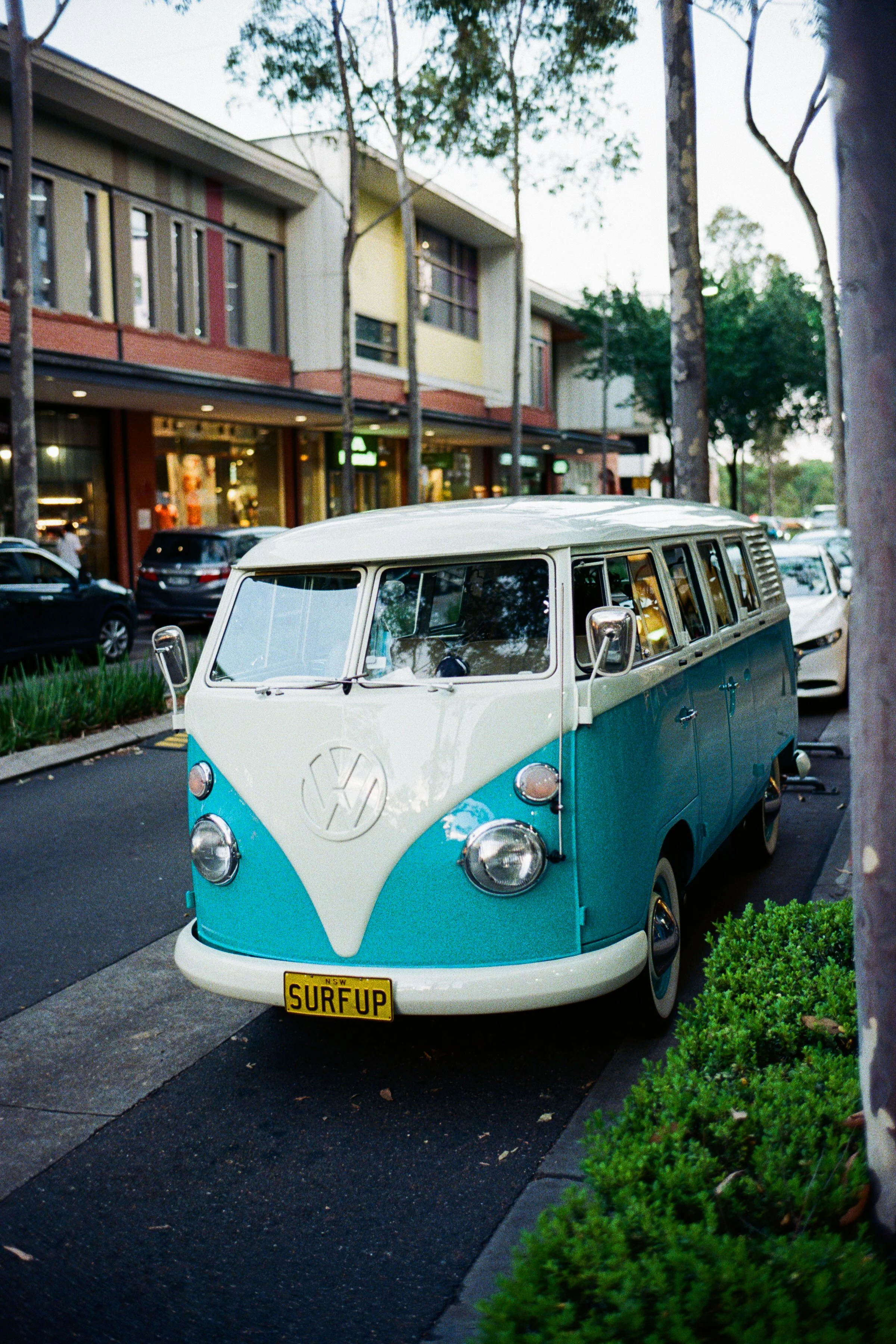 FIlm-1-9.jpg