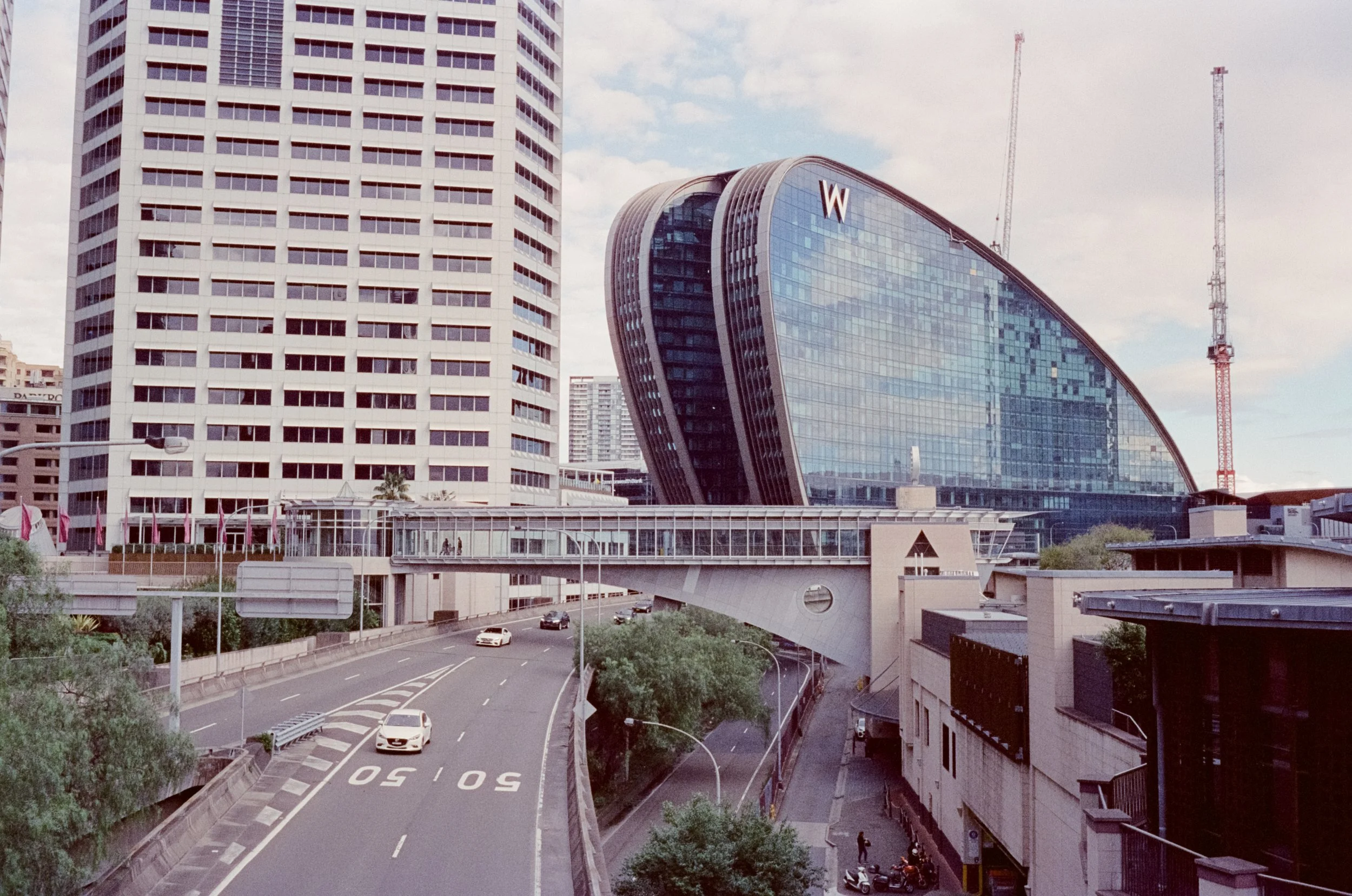 CineStill-38.jpg