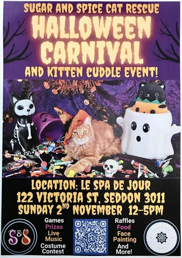The annual Sugar and Spice Cat Rescue HALLOWEEN CARNIVAL is back again this year.....
Head to @lespadejour  12-5pm Sunday 2nd November for lots of live music, Games, Food, Face Painting and lots more!!