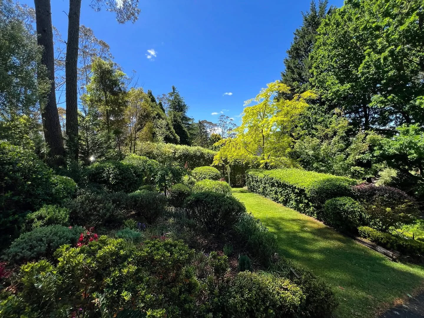 A stunning Spring day @mapleviewmedlowbath π