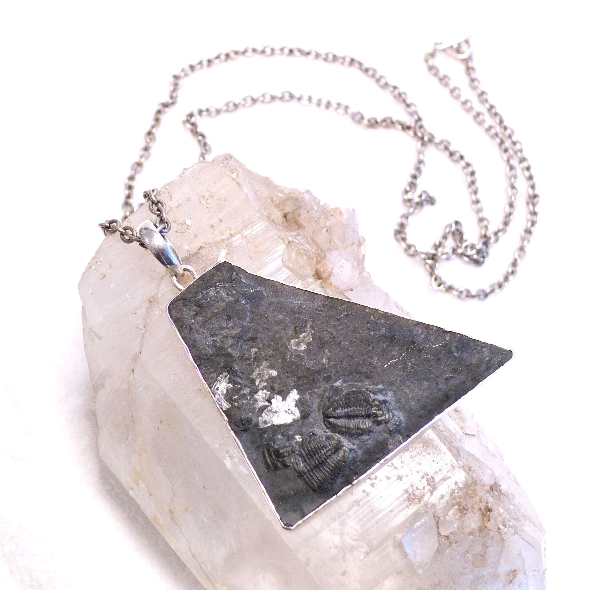 Fossilized natural rock pendant necklace on Sterling Silver chain, unisex jewelry for him